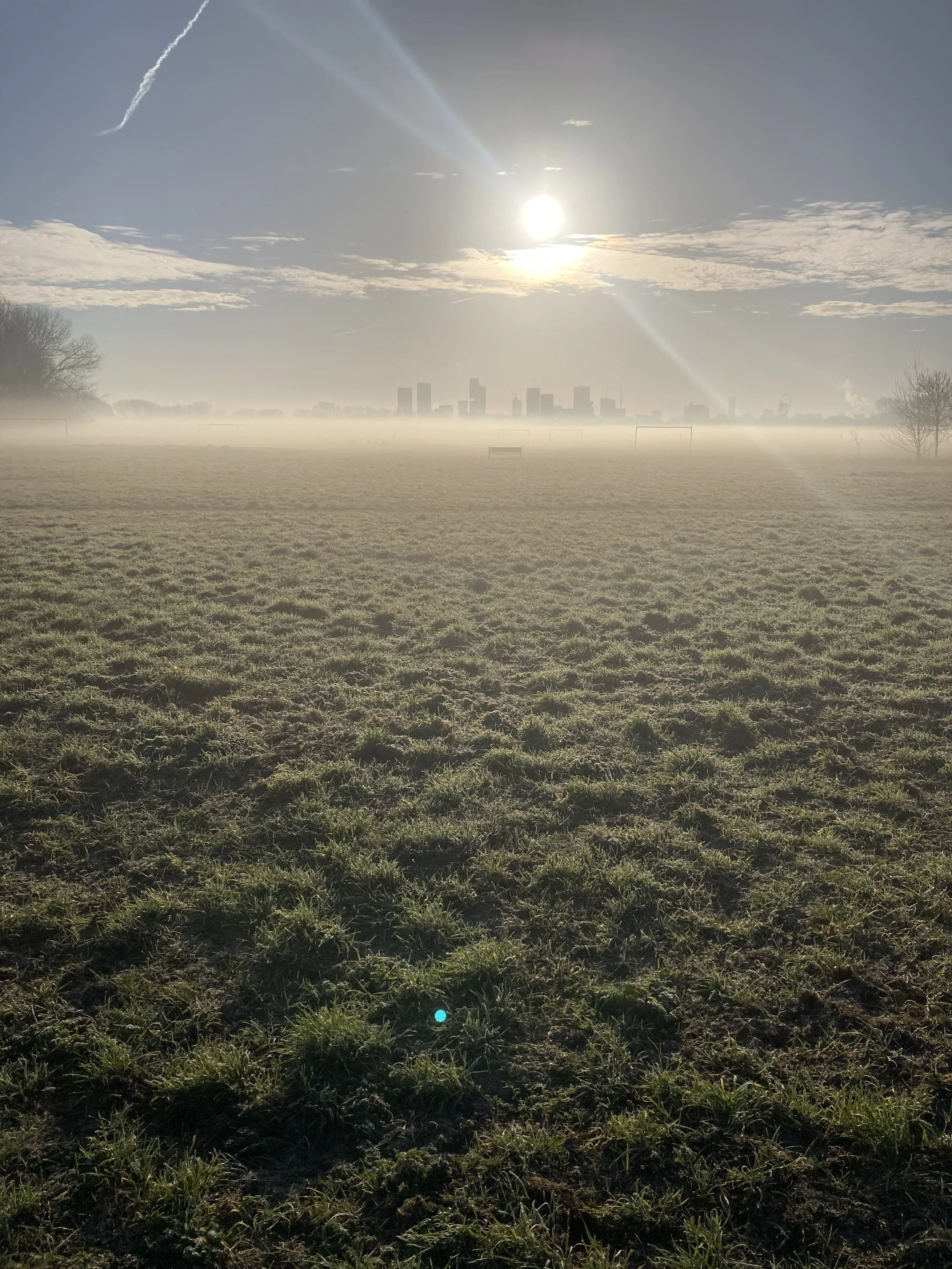 Morning scene of a grassy field with a city skyline in the distance, fog near the ground, and the sun shining brightly in the sky.