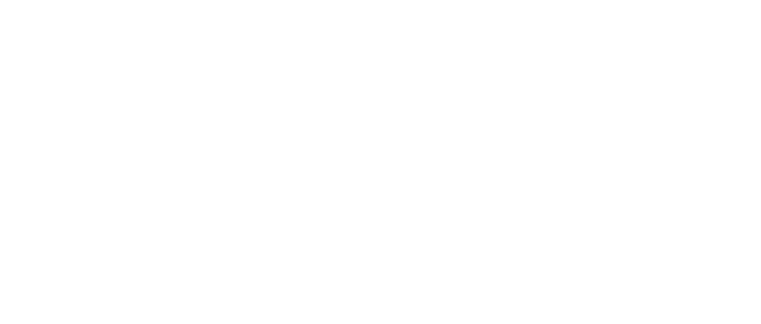 iBridge Group