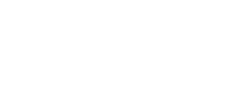 iBridge Group