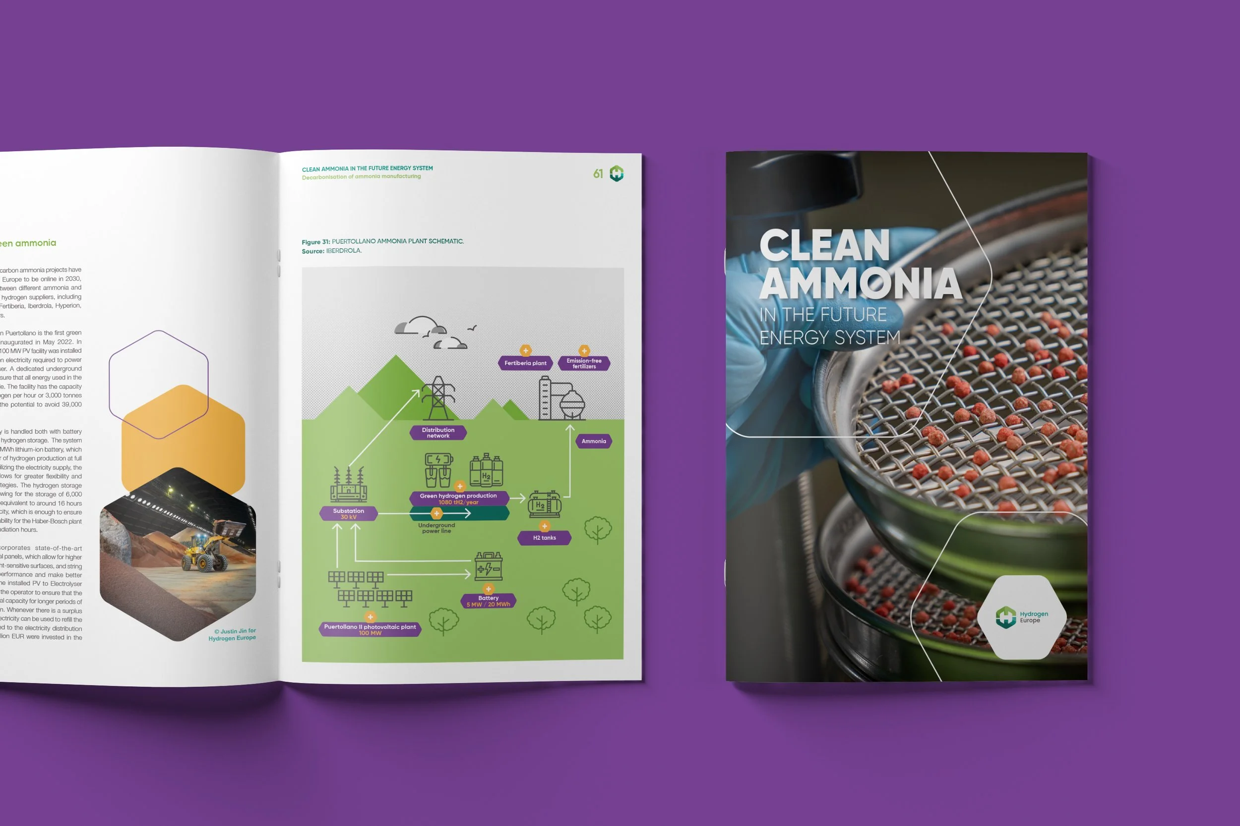Mockup_Clean_Ammonia_Report_2.jpg