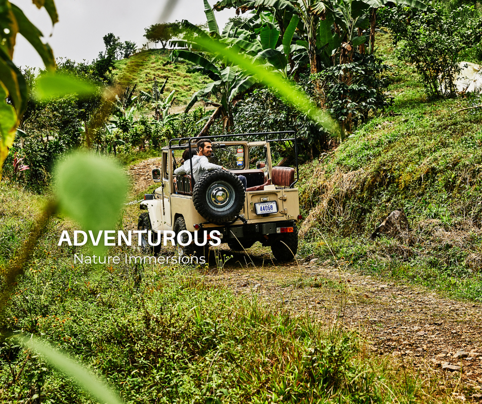 Adventure experience at Hacienda AltaGracia in Costa Rica featuring a 4x4 jeep driving through lush green jungle trails, surrounded by tropical plants.