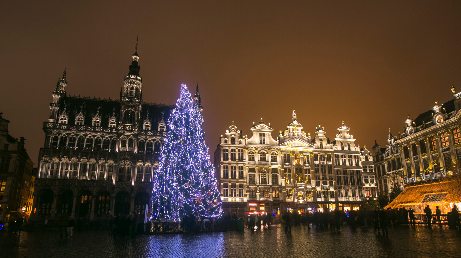 Brussels Grand Place Christmas tree with ornate guildhalls and Town Hall tower at night in Belgium