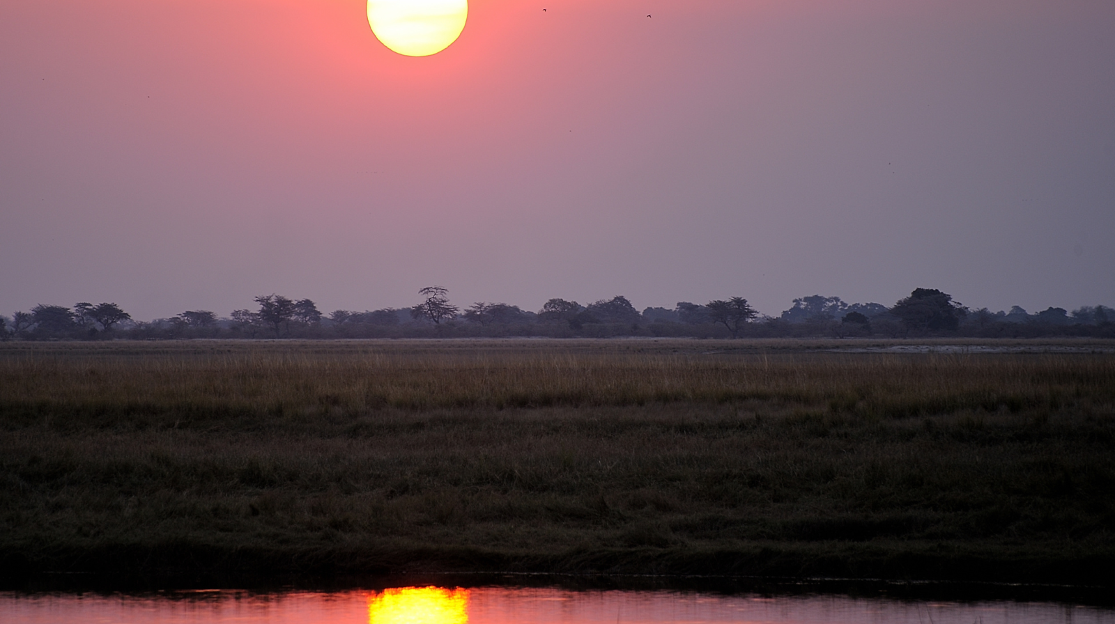 Chobe National Park Botswana sunset over Chobe River floodplains and grasslands during luxury safari