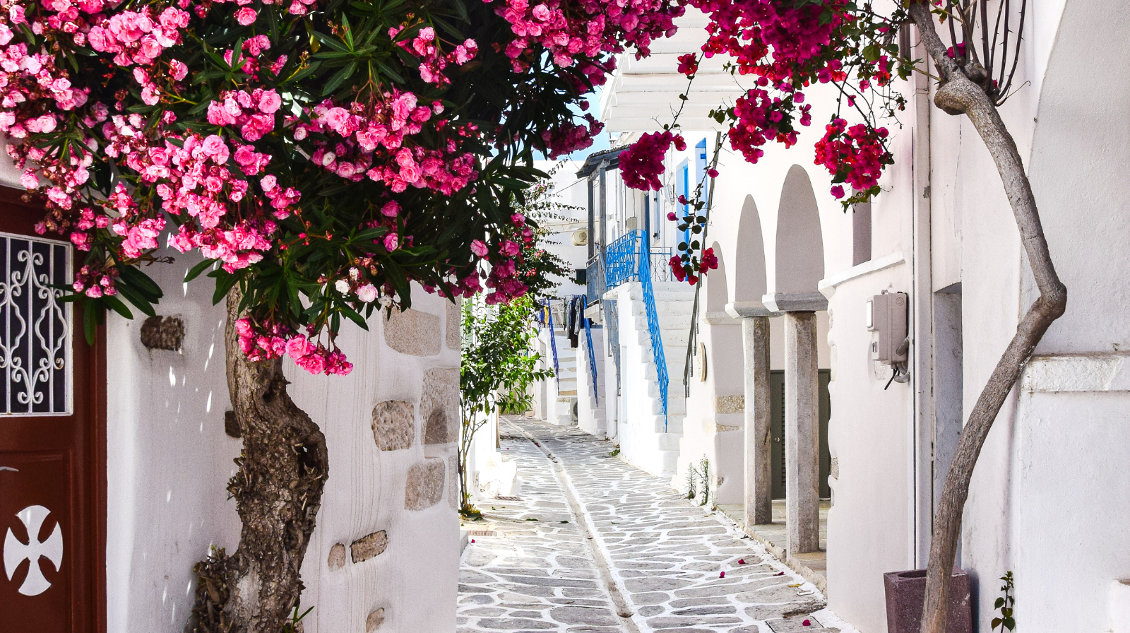 Pink and red bougainvillea flowers cascading over narrow whitewashed alley in Paros, Greece