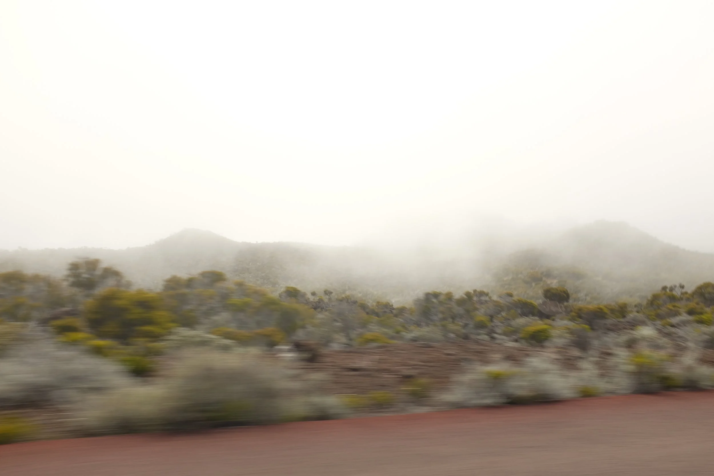 DSCF9355.JPG