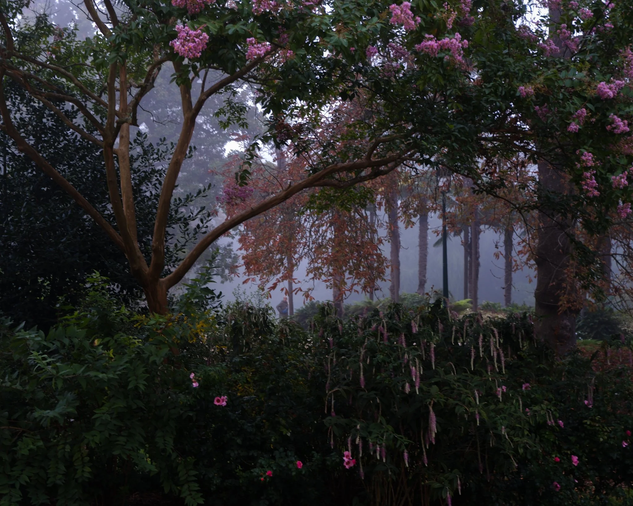 Nature vivante