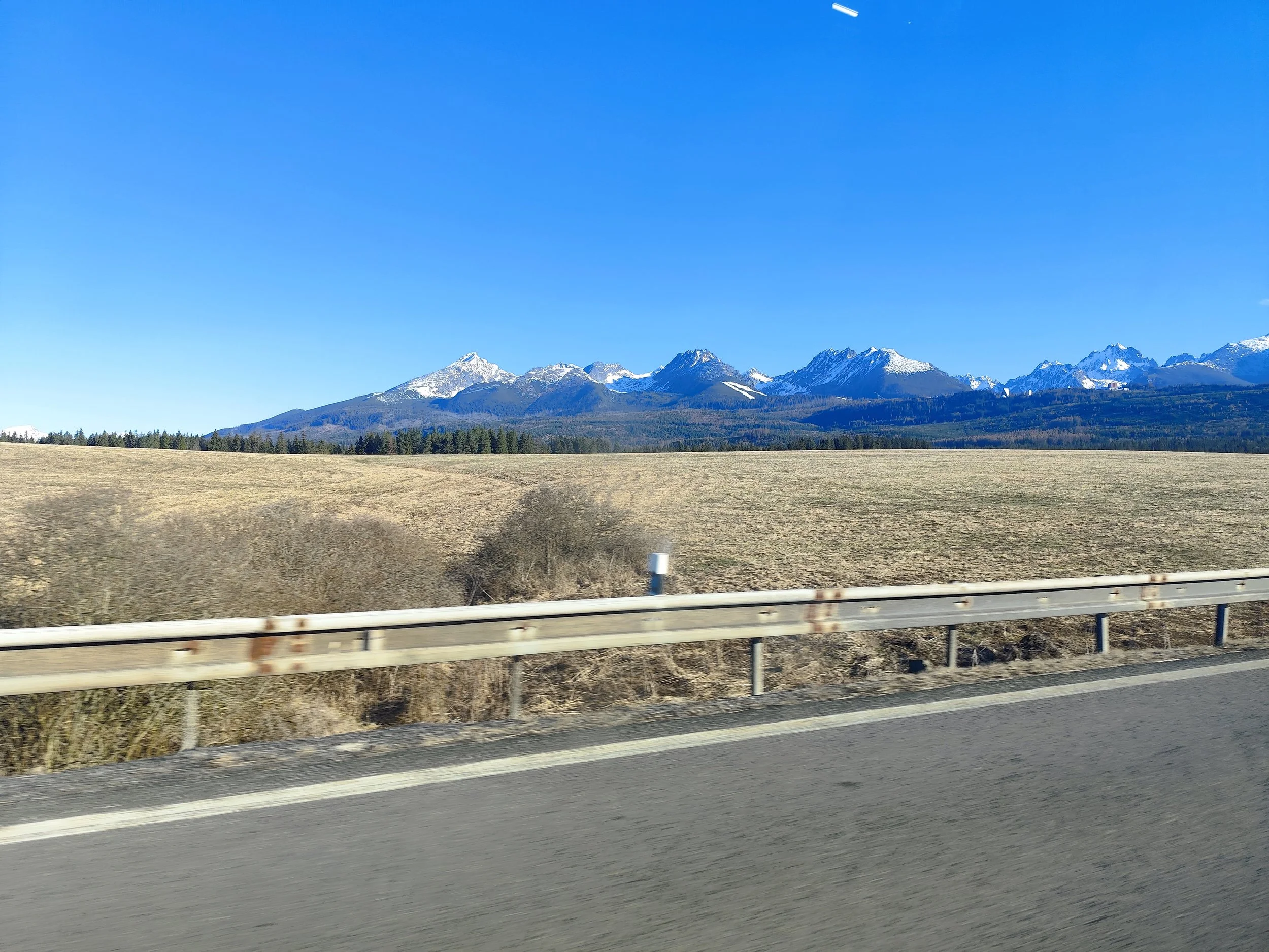 IMG_20250404_075616.jpg
