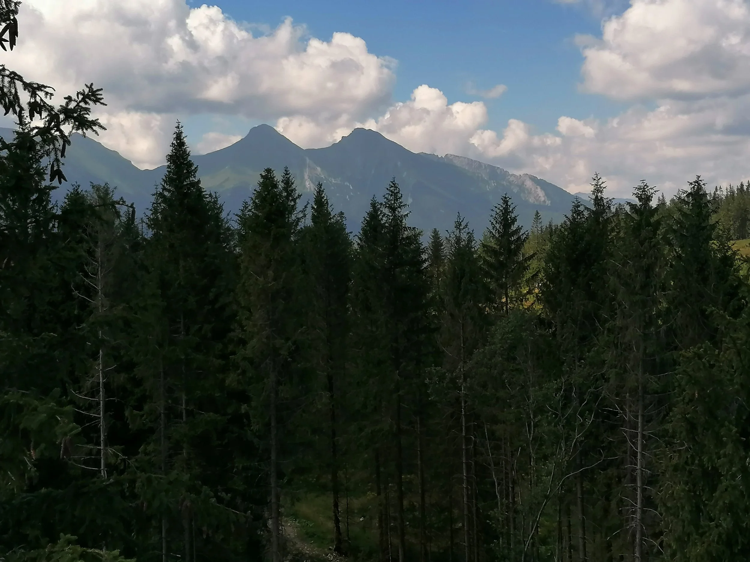 IMG_20200812_112152.jpg