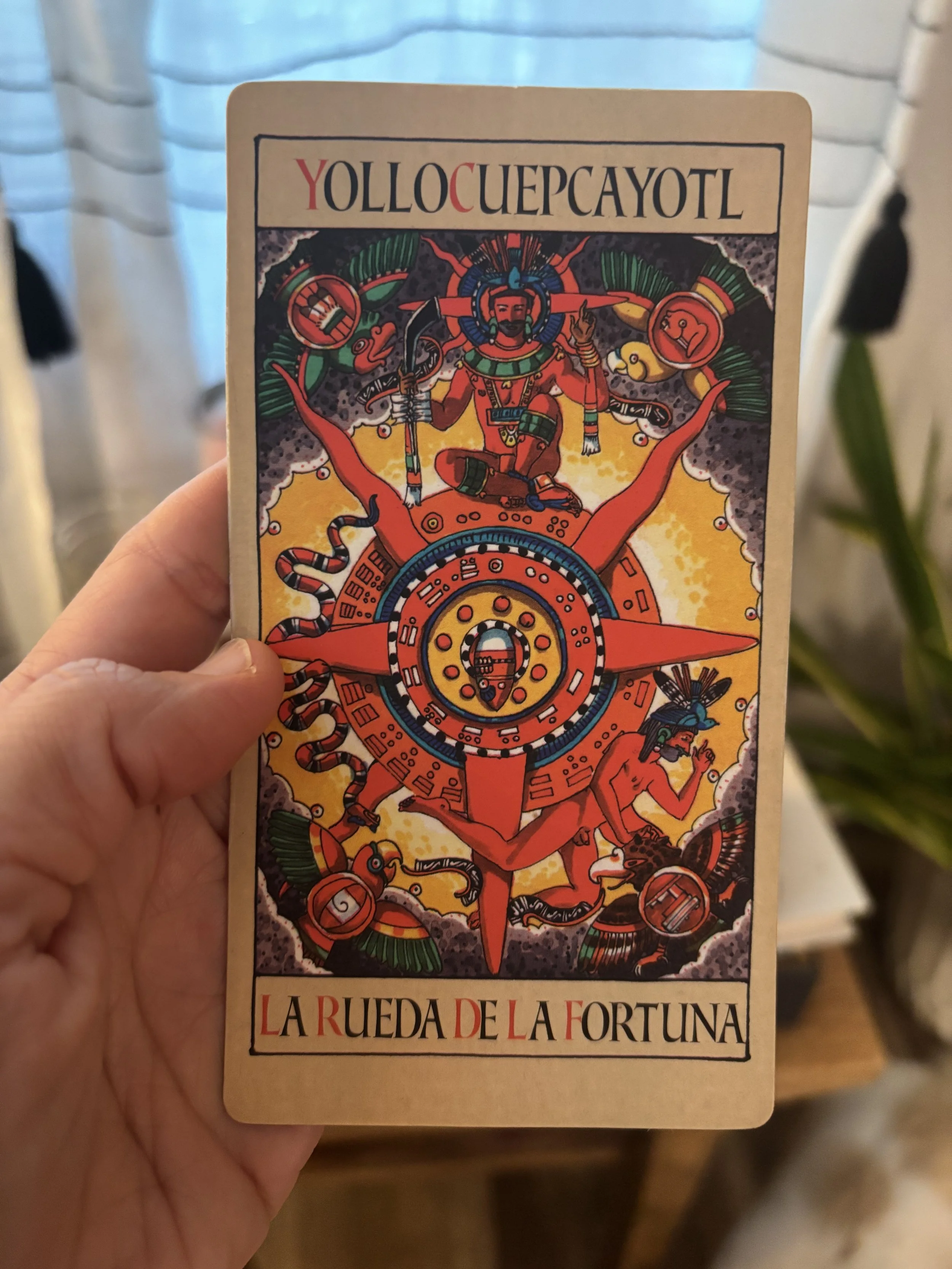 The Wheel of Fortune: A slice of life and 2026