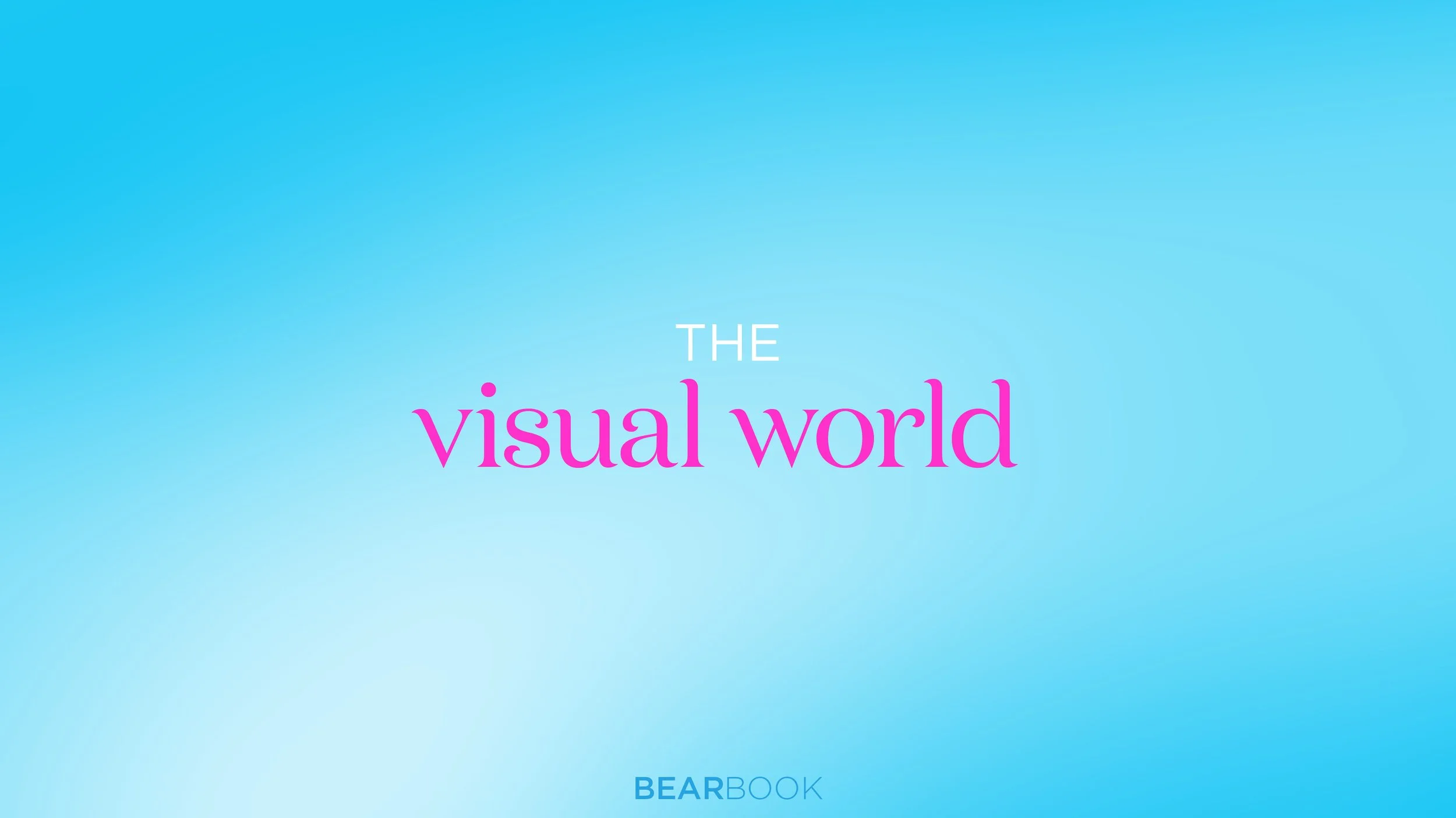 Cover of a book titled "The Visual World" from BearBook with a blue gradient background.