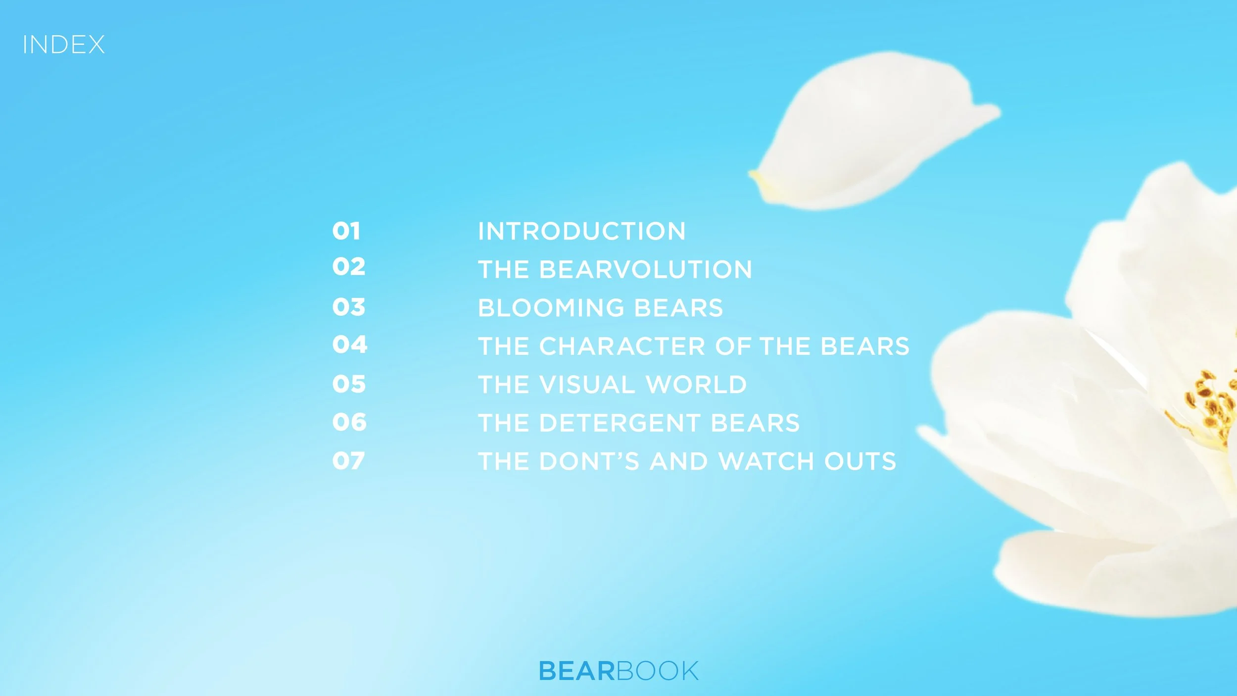 Table of contents page of a book titled 'Bear Book' with a blue background and white flower petals on the right side, listing chapters from Introduction to The Don'ts And Watch Outs.