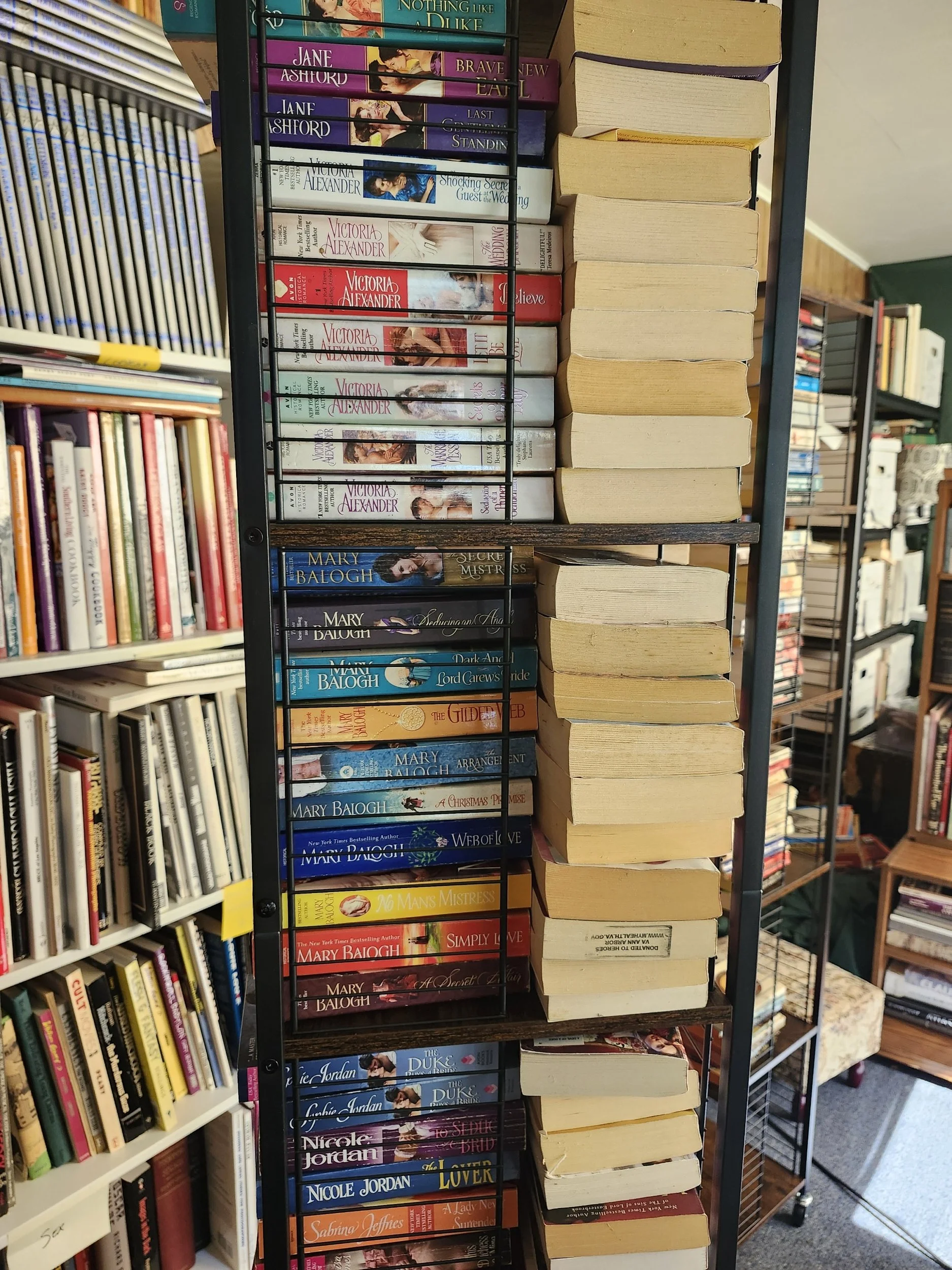 Romance Novel(s)