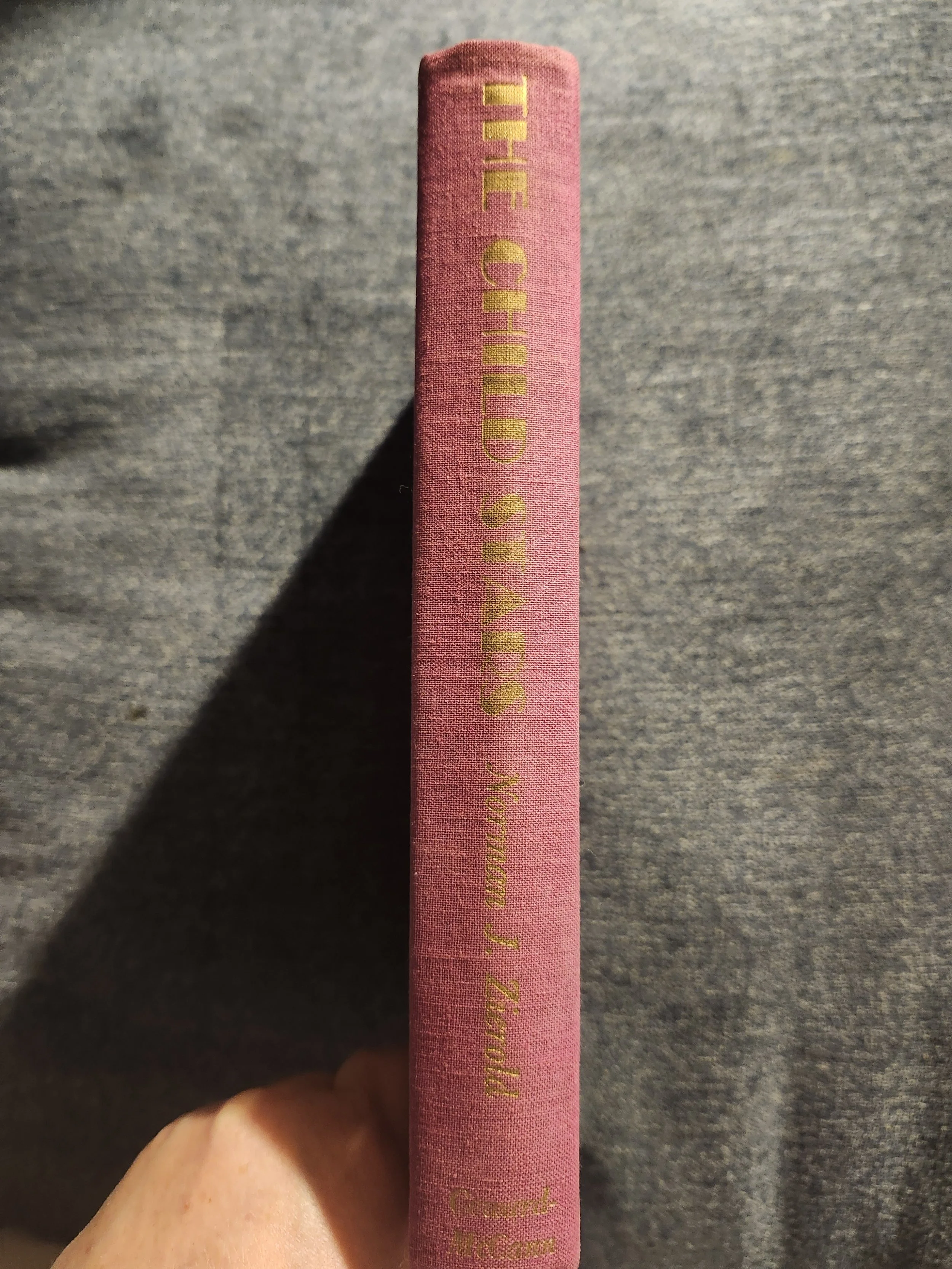 20261014_192651.jpg