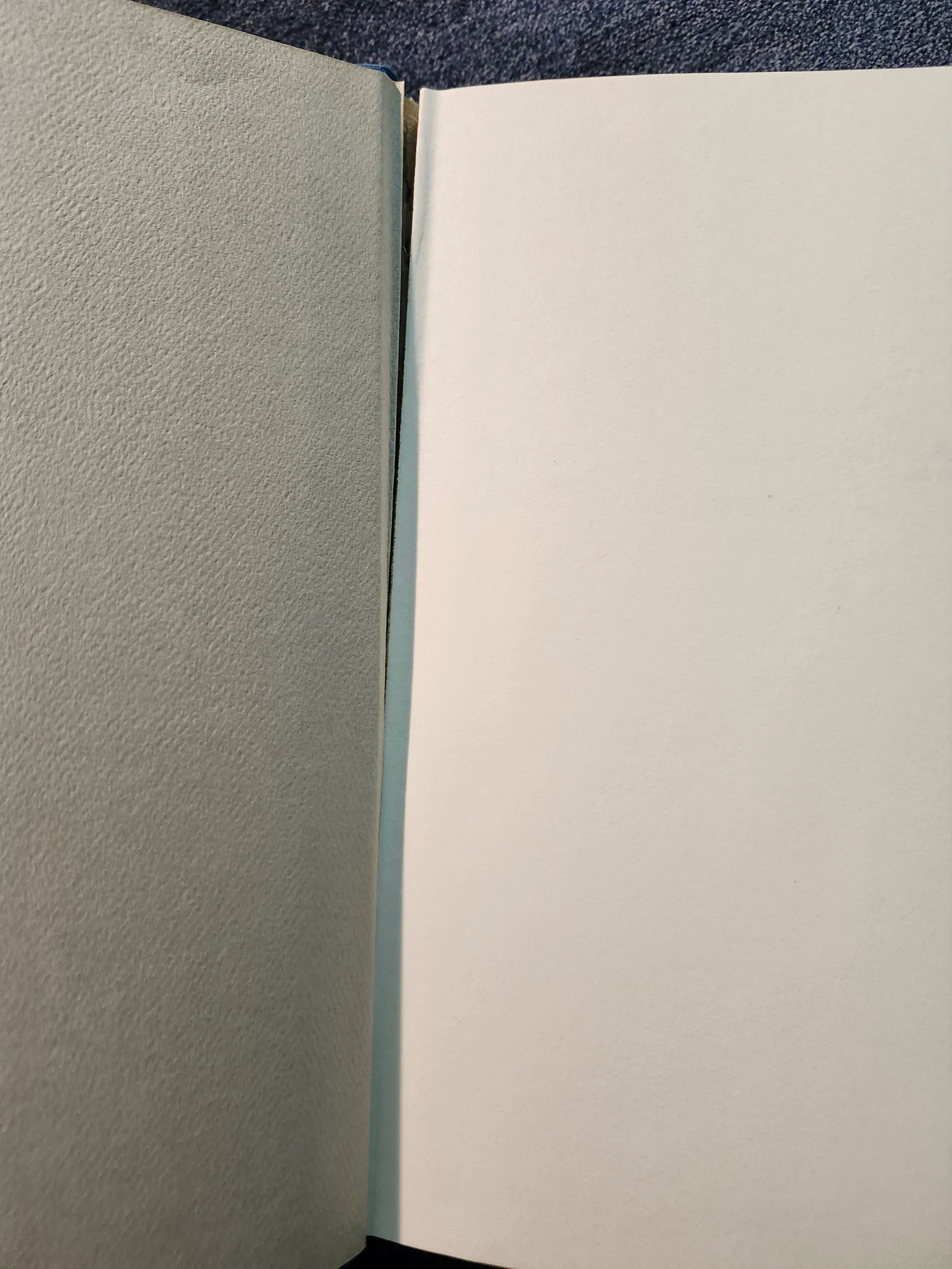 20260906_130136.jpg