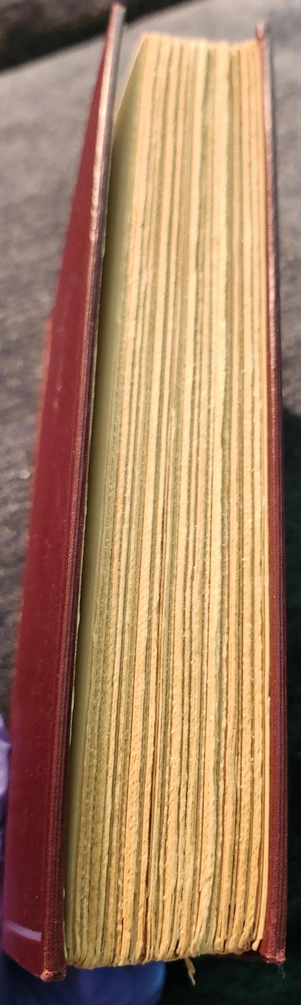 20260906_130753.jpg