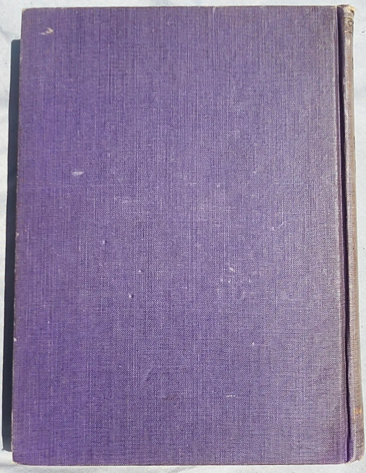 20260706_151026.jpg