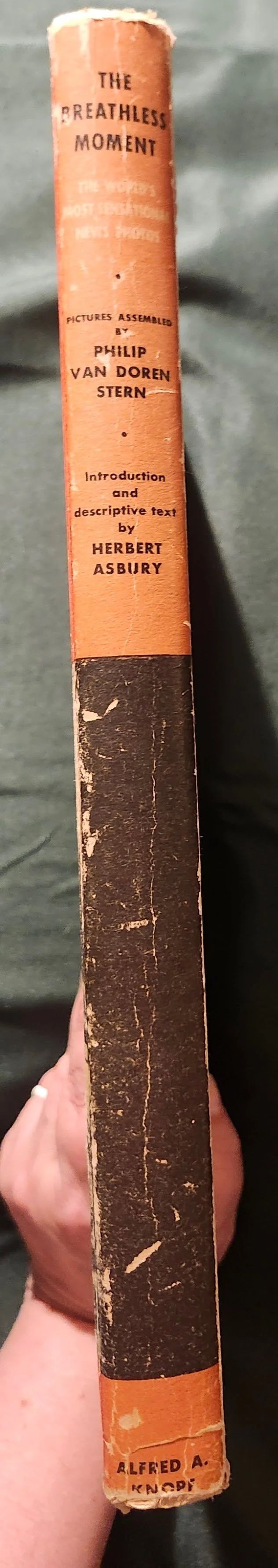 20261019_193204.jpg