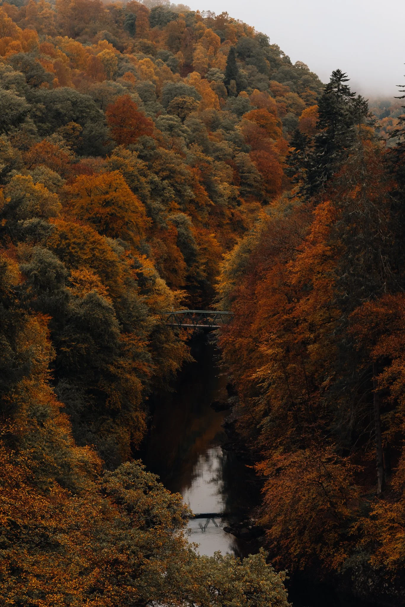 Garry Bridge Social media.jpg