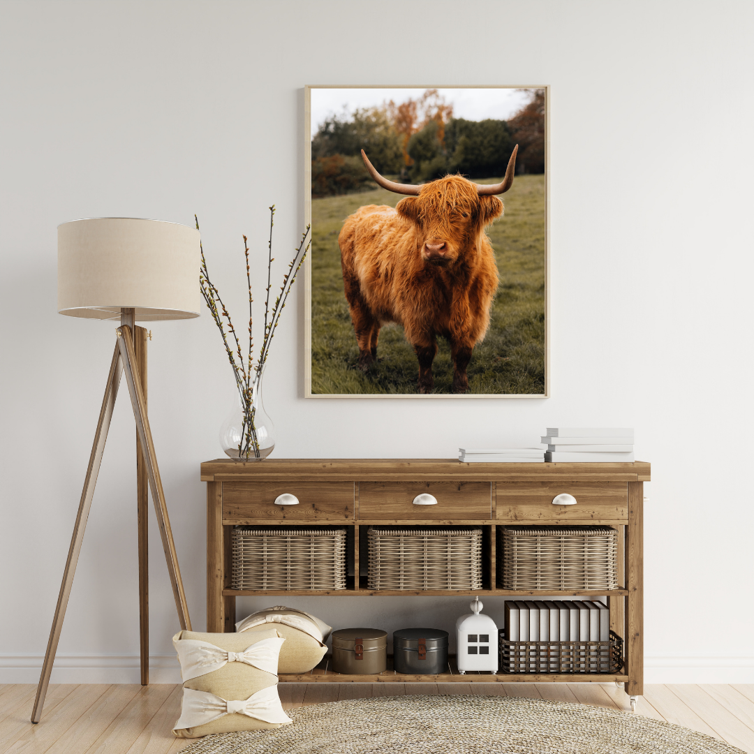 Highland Cow Scottish Gifts Scotland Landscape Photography Print