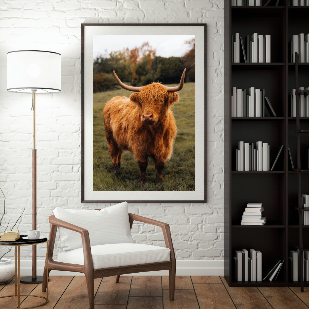 Highland Cow Scottish Gifts Scotland Landscape Photography Print