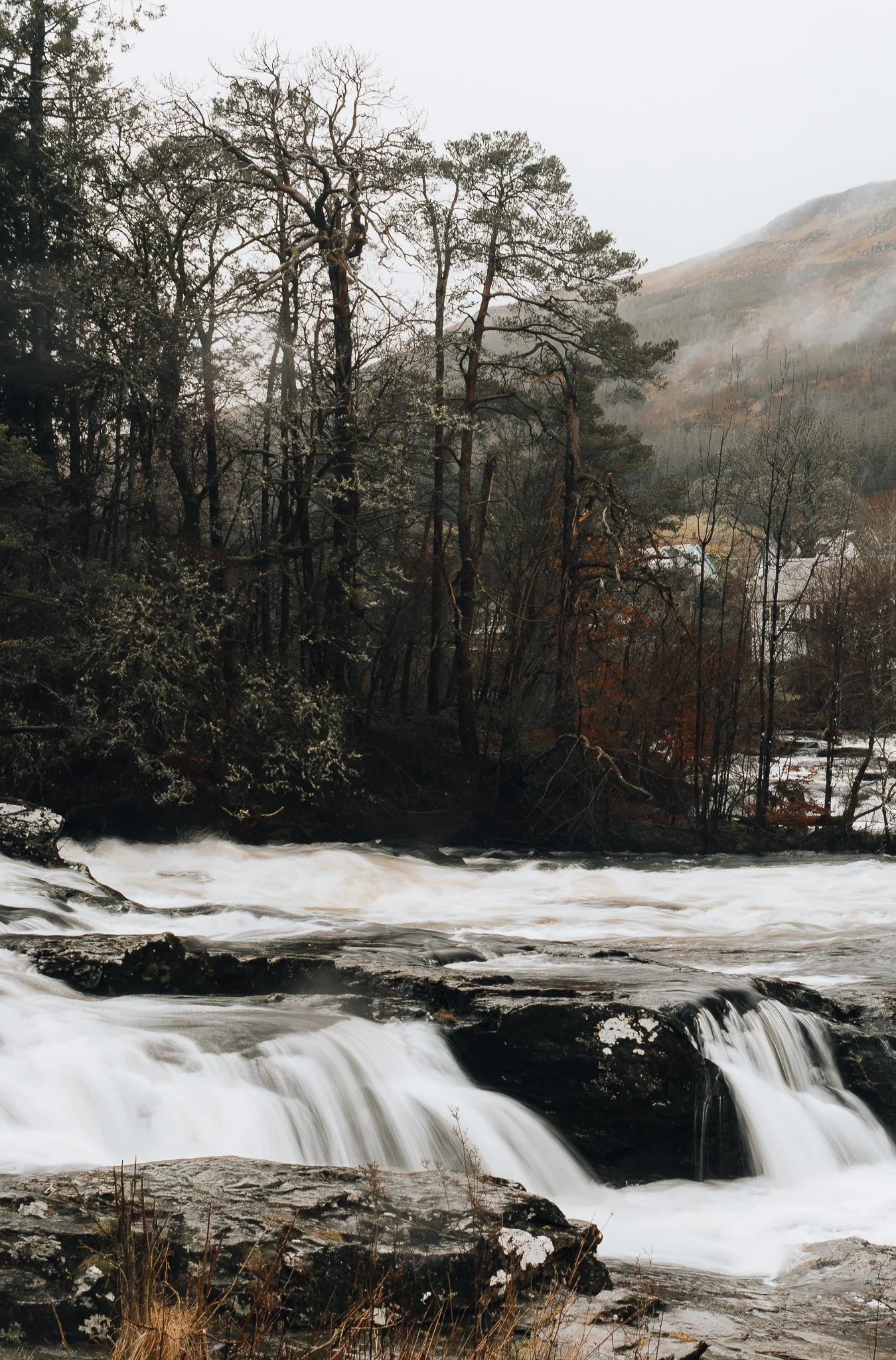 A river flowing over rocks with a forested hillside and trees in the background, some with bare branches, and mist in the air.