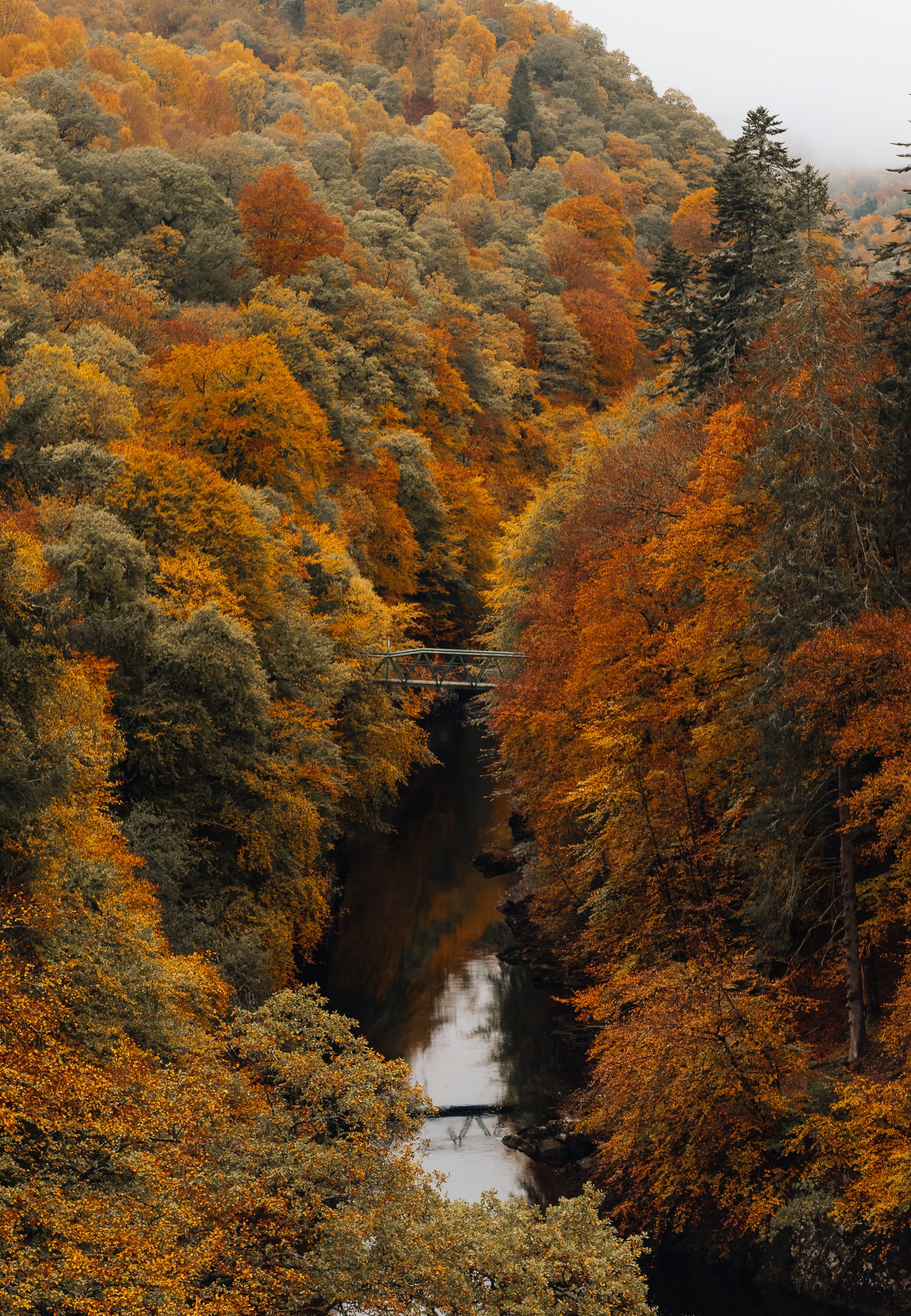 A scenic view of a valley with a river running through it, surrounded by dense trees with autumn foliage in shades of orange, yellow, and green, with a small bridge over the river and fog in the background.