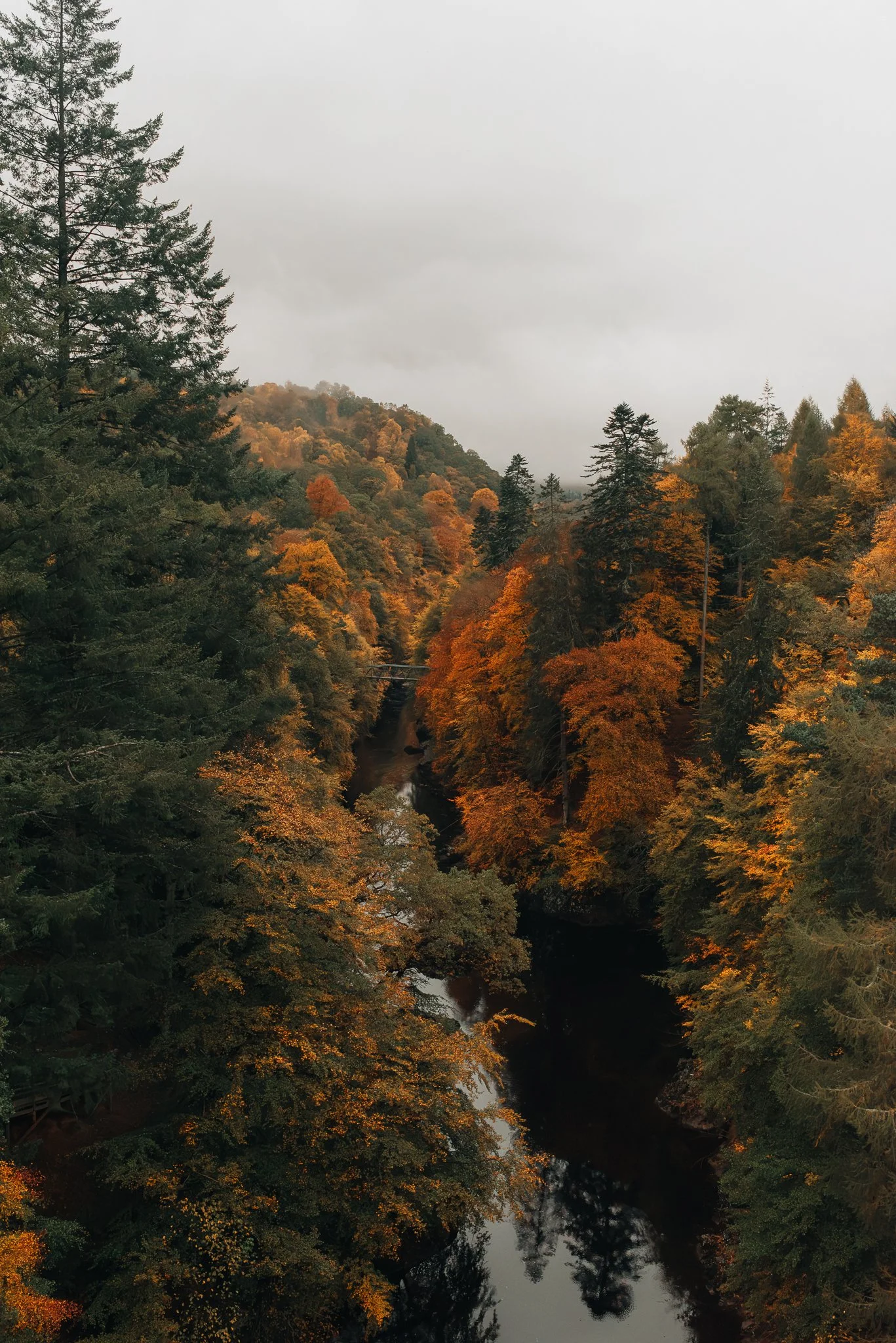 A scenic landscape of a forested valley during autumn with colorful orange and green trees surrounding a narrow dark river, under a cloudy sky.