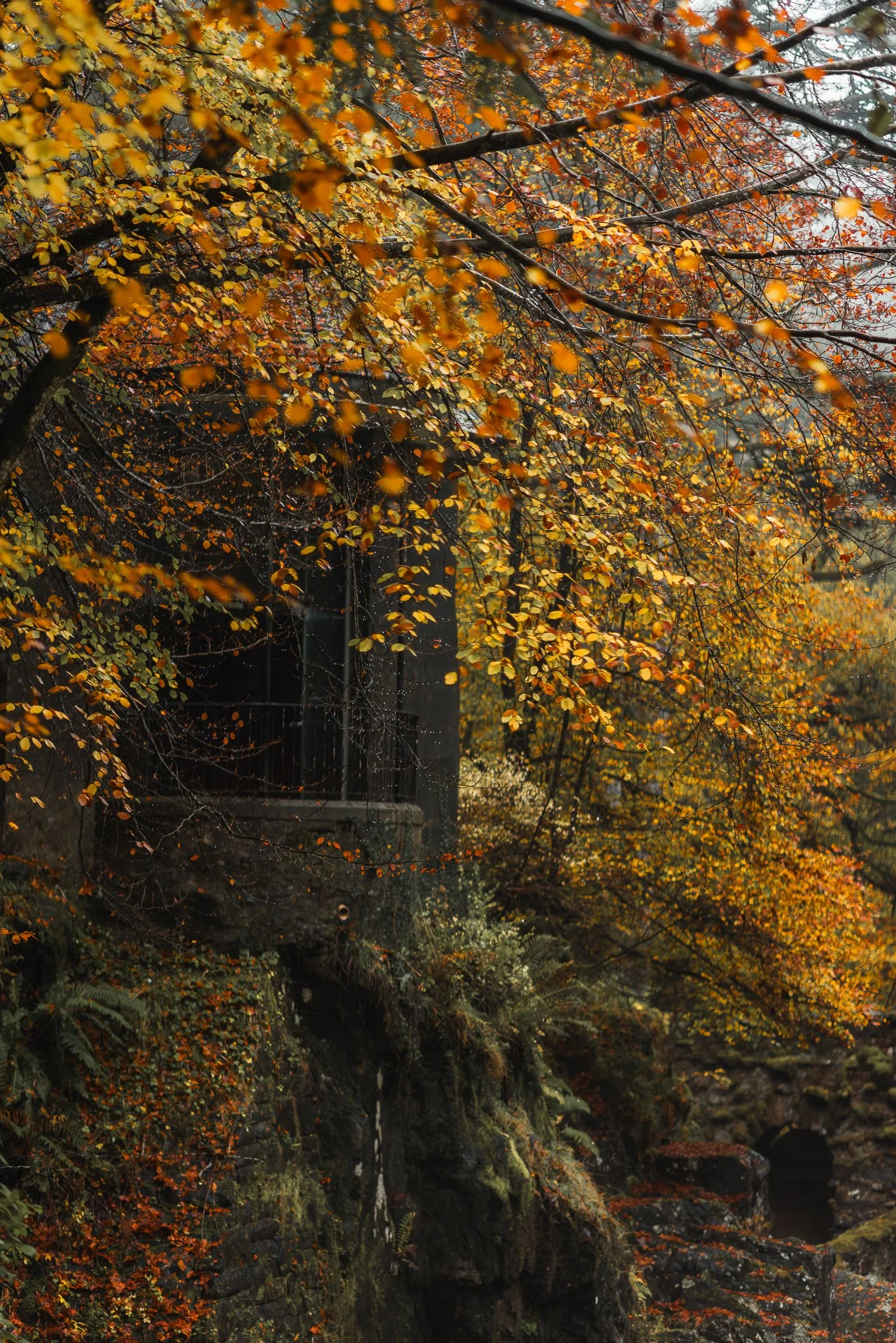 Autumn scene with orange and yellow leaves on trees, moss-covered rocks, a small waterfall, and a dark bridge in the background.