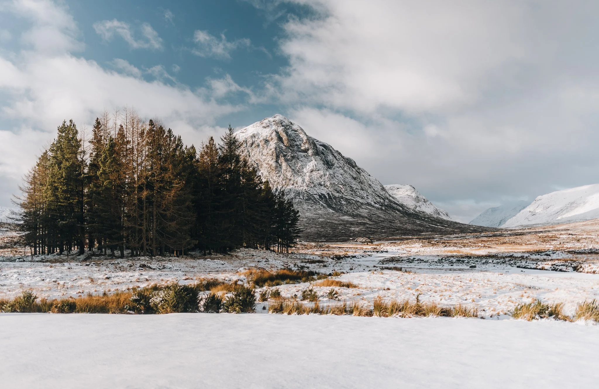 Snow-covered landscape with a mountain in the background, a group of evergreen trees to the left, and grasses with snow in the foreground under a cloudy sky.