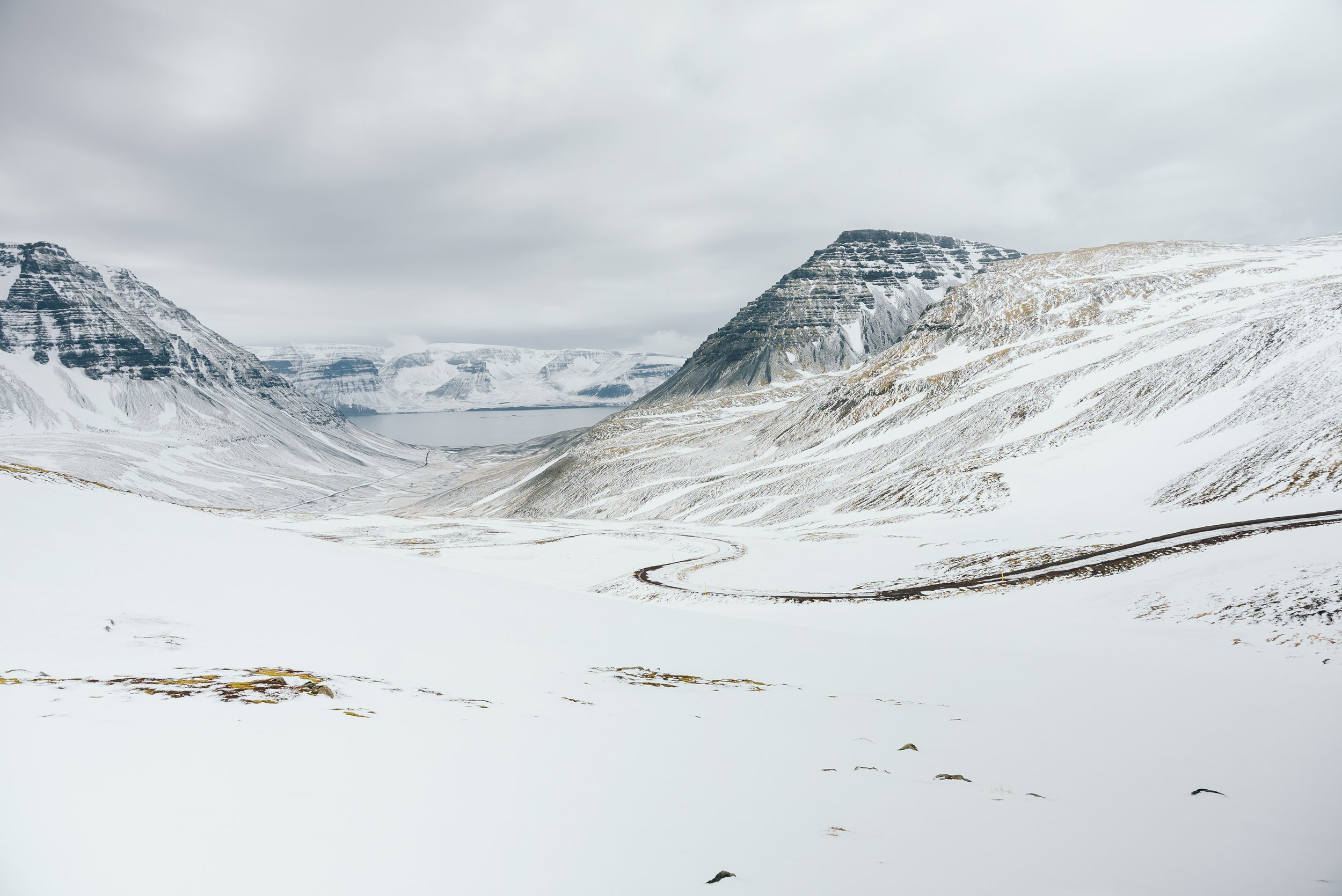 WEBSITE The Arctic-24.jpg