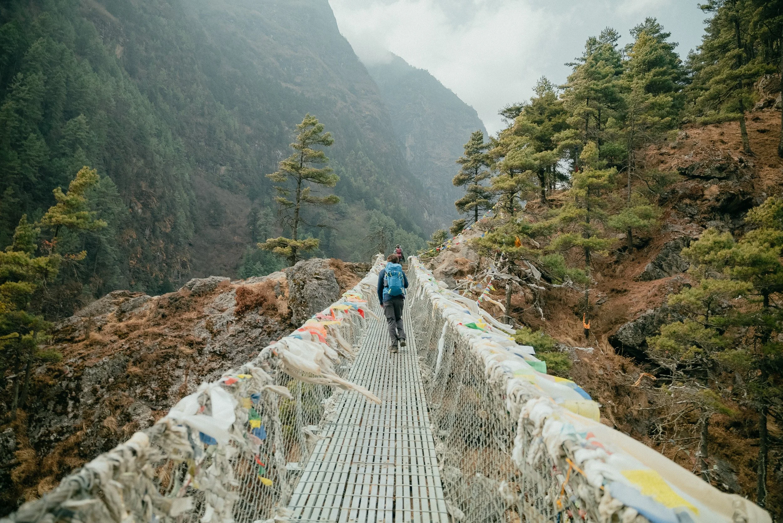 WEBSITE Himalayas-3.jpg