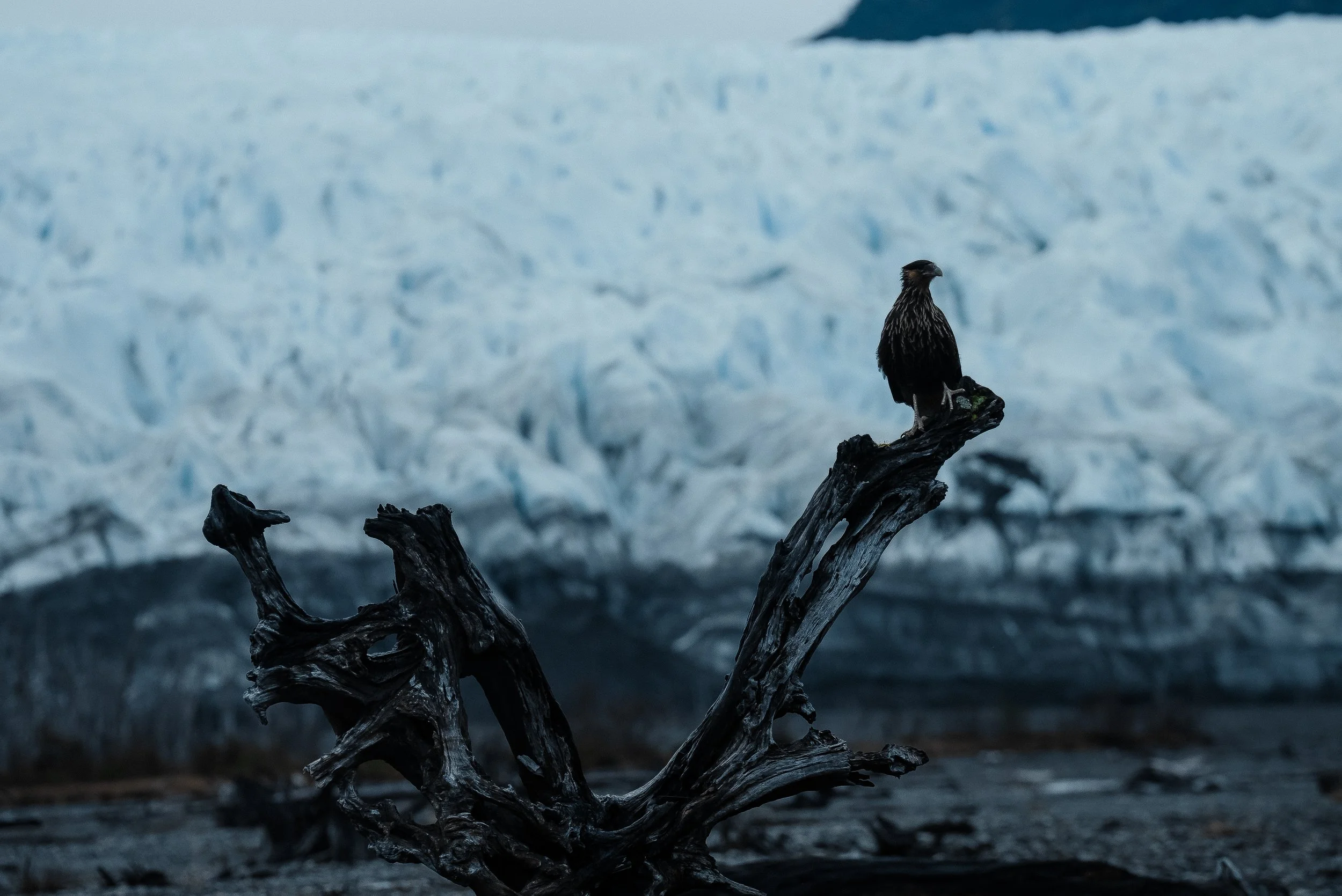 WEBSITE Patagonia-11.jpg