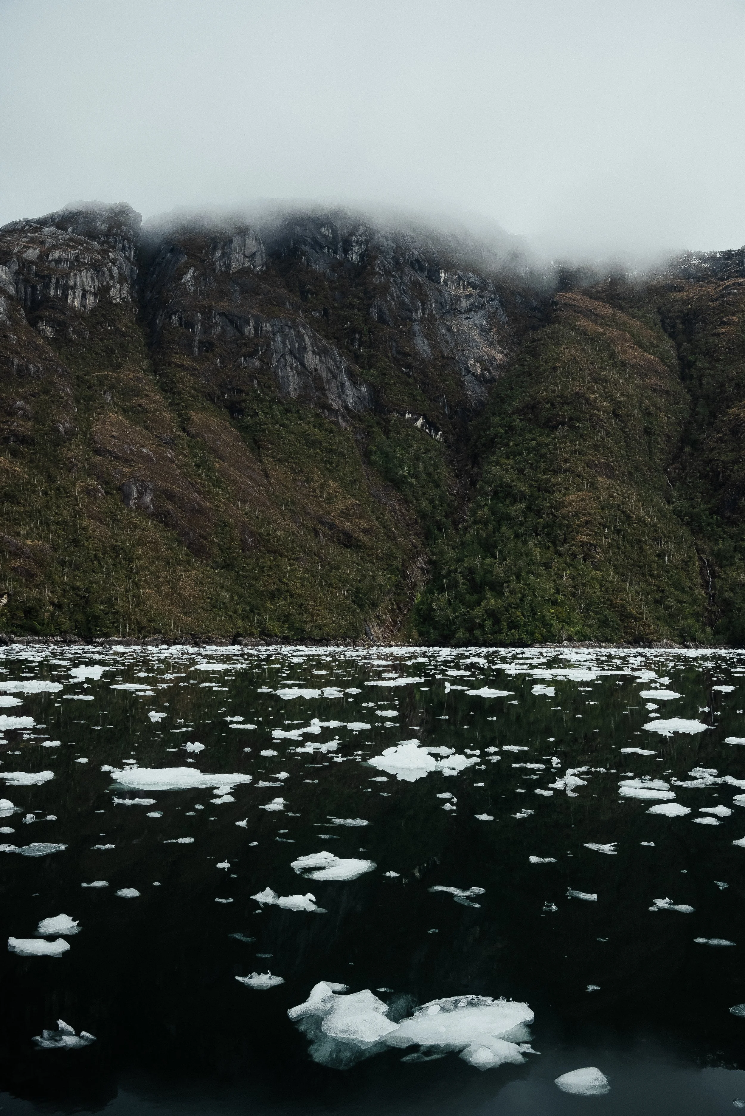 WEBSITE Patagonia-7.jpg