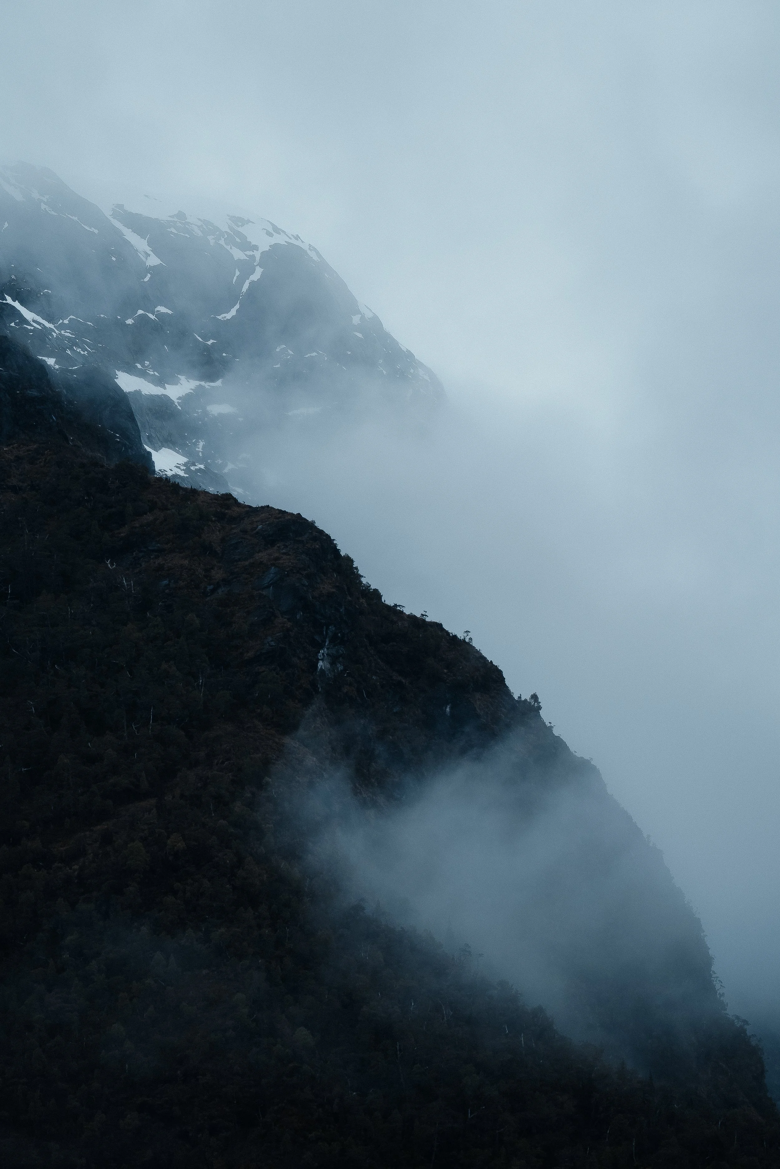 WEBSITE Patagonia-9.jpg