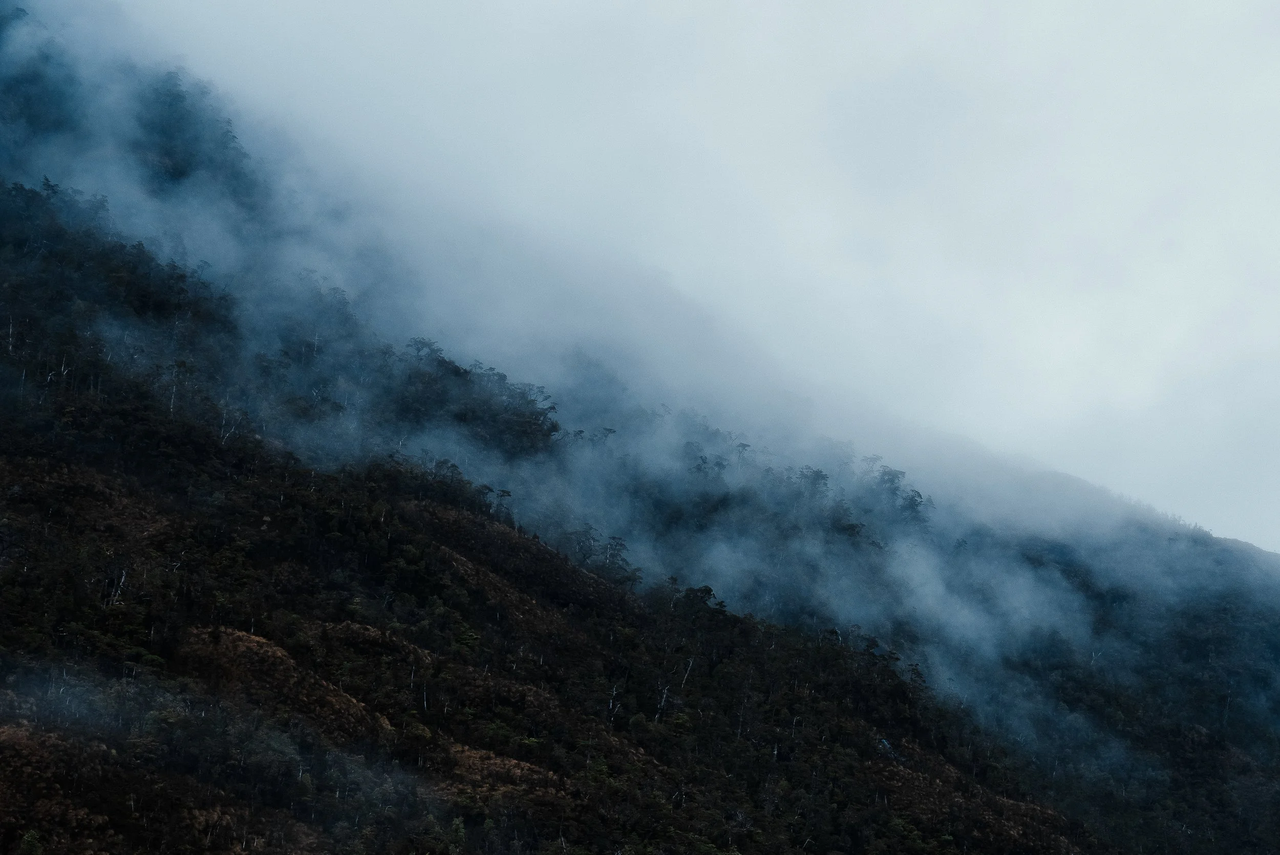 WEBSITE Patagonia-15.jpg