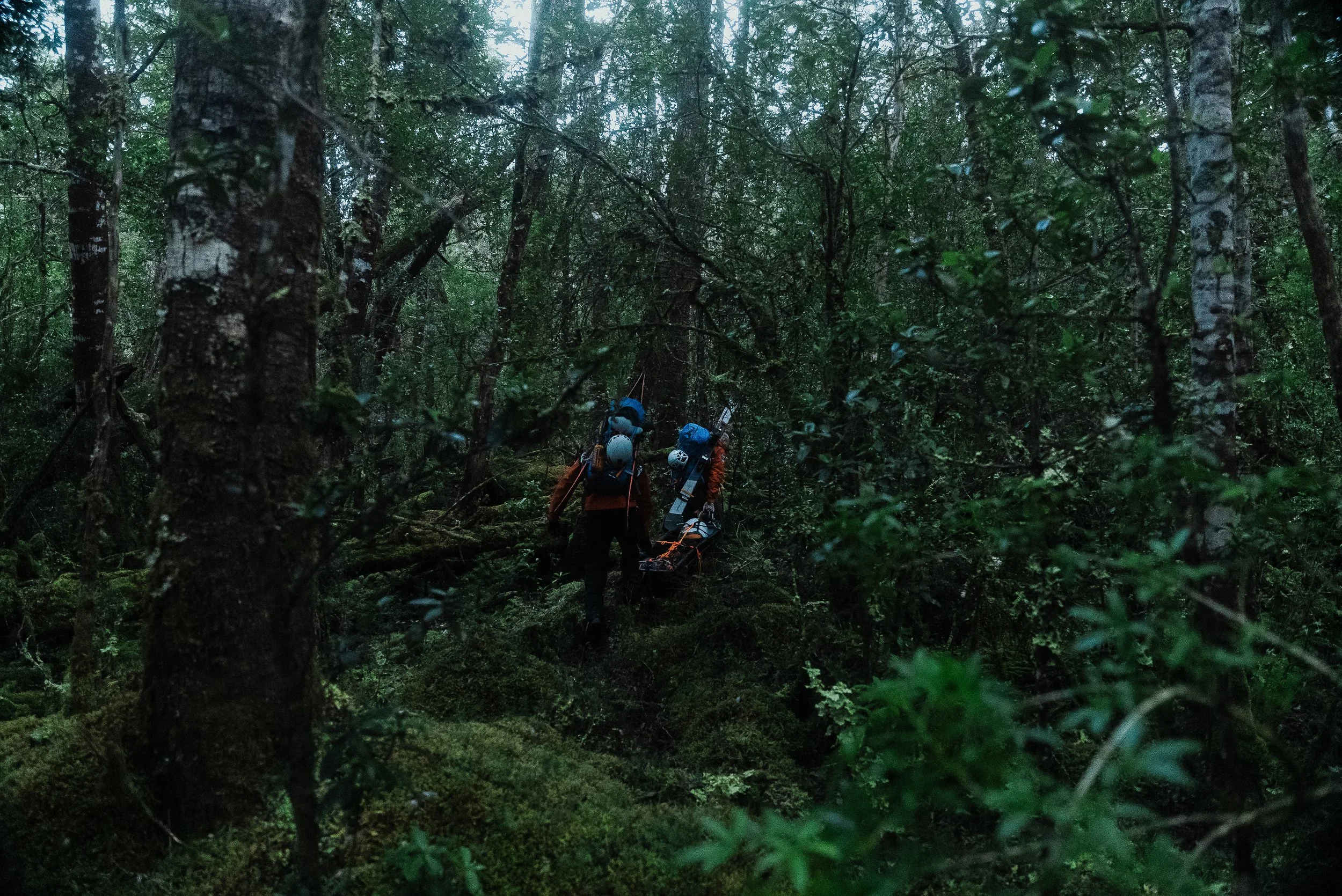 WEBSITE Patagonia-19.jpg