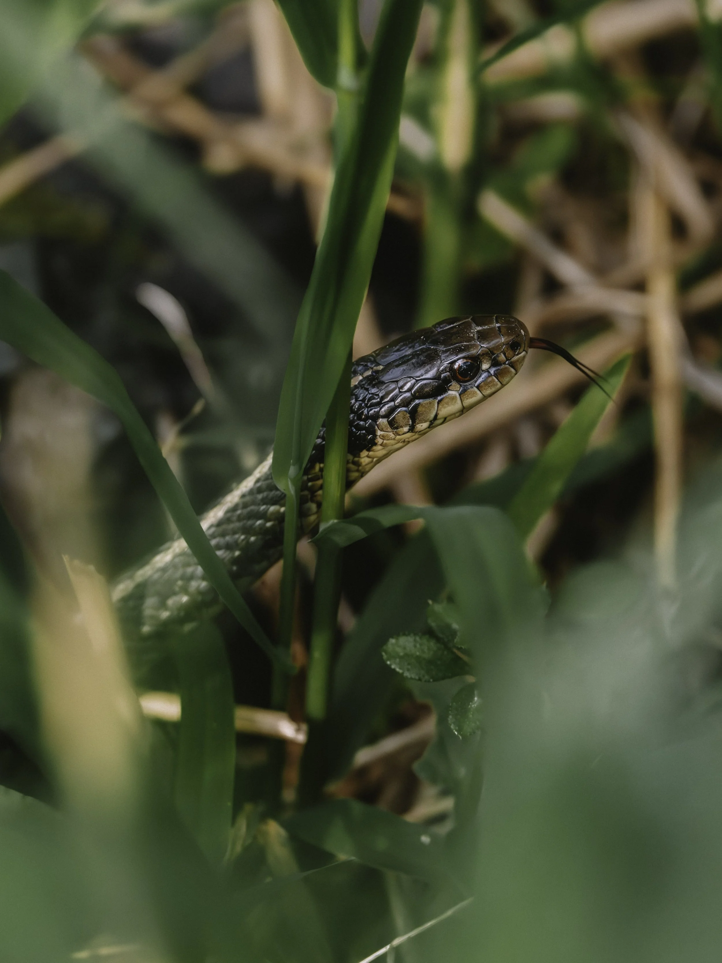 A7R07690.jpg