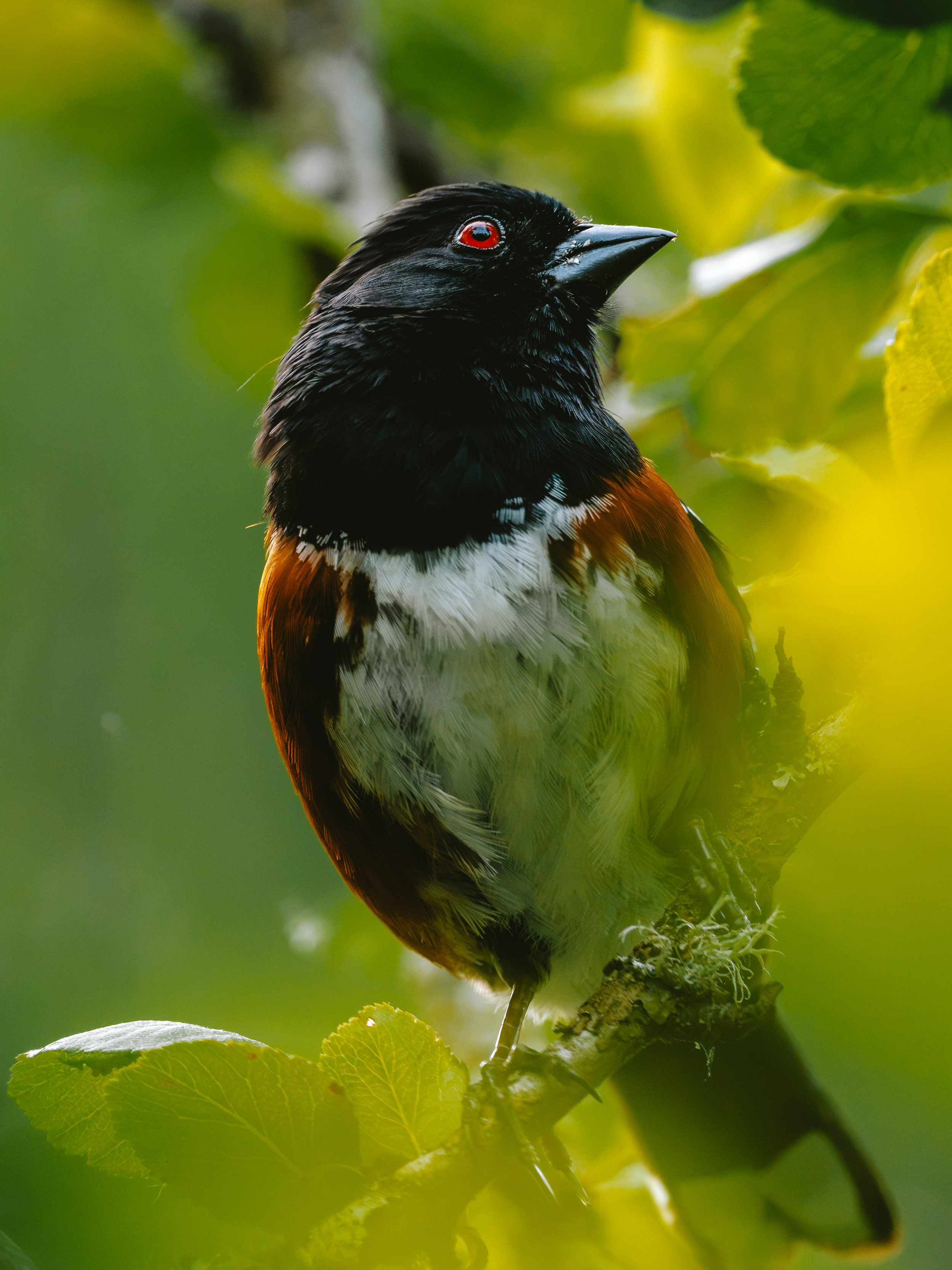 A7R08475.jpg