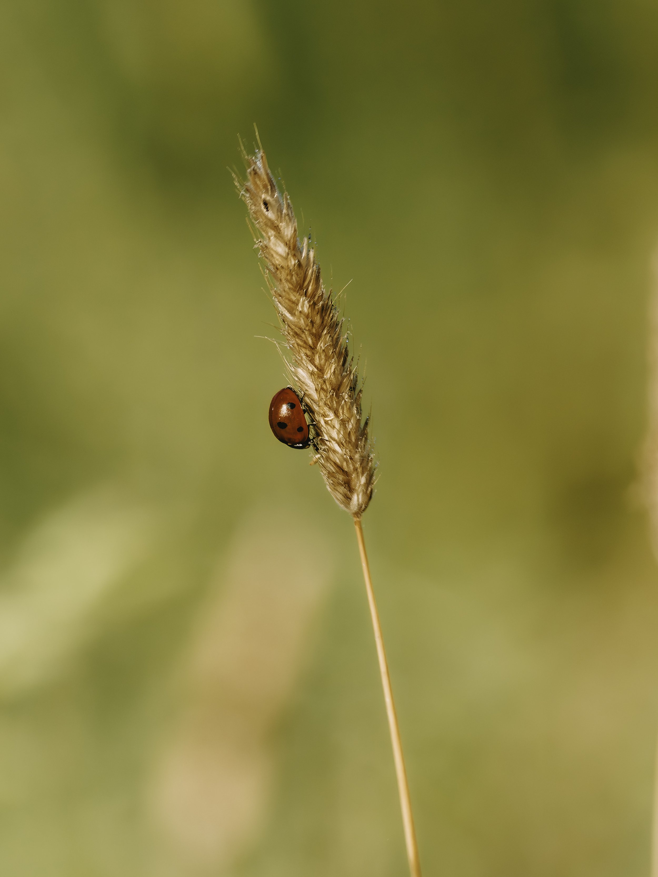 A7R03287.jpg