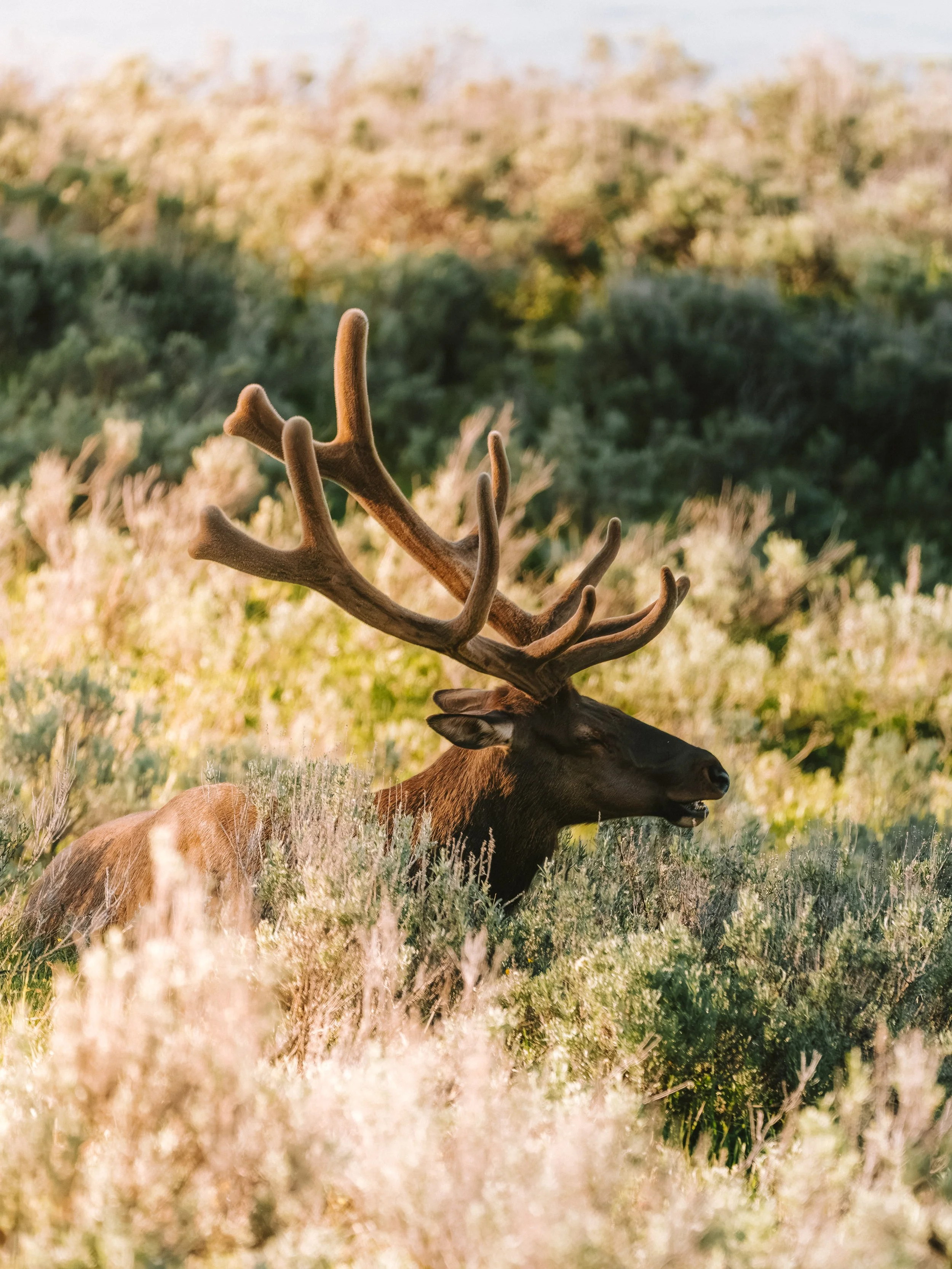 A7R06500.jpg