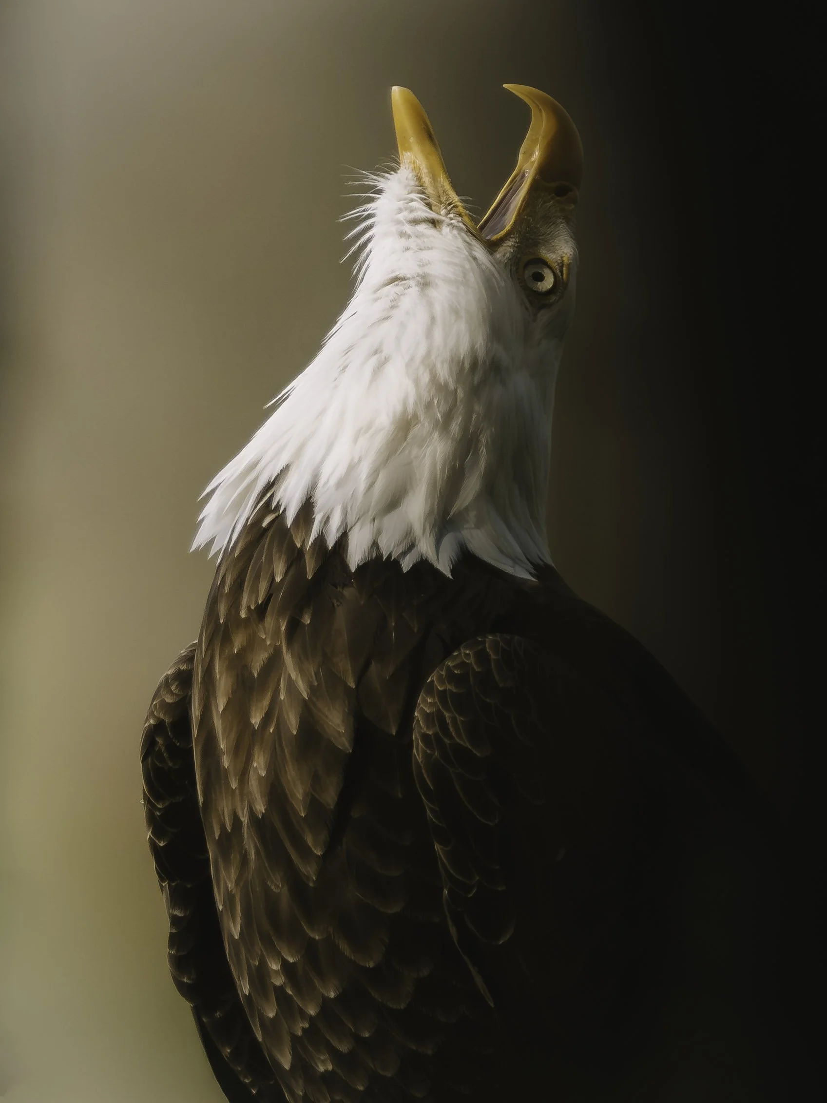 A7R02430.jpg