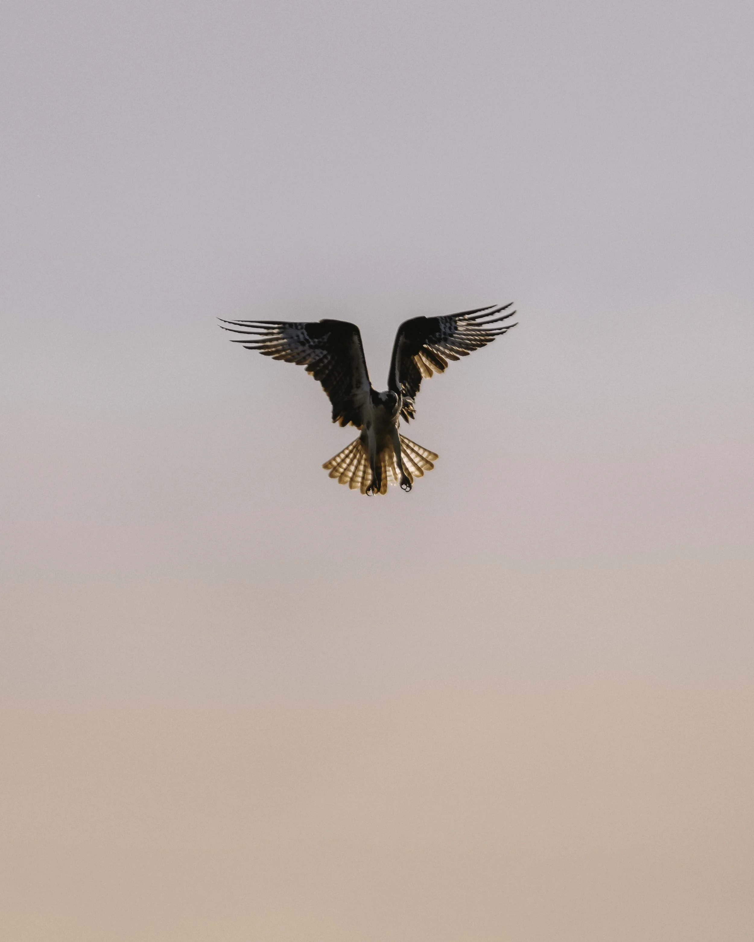 A7R08373.jpg