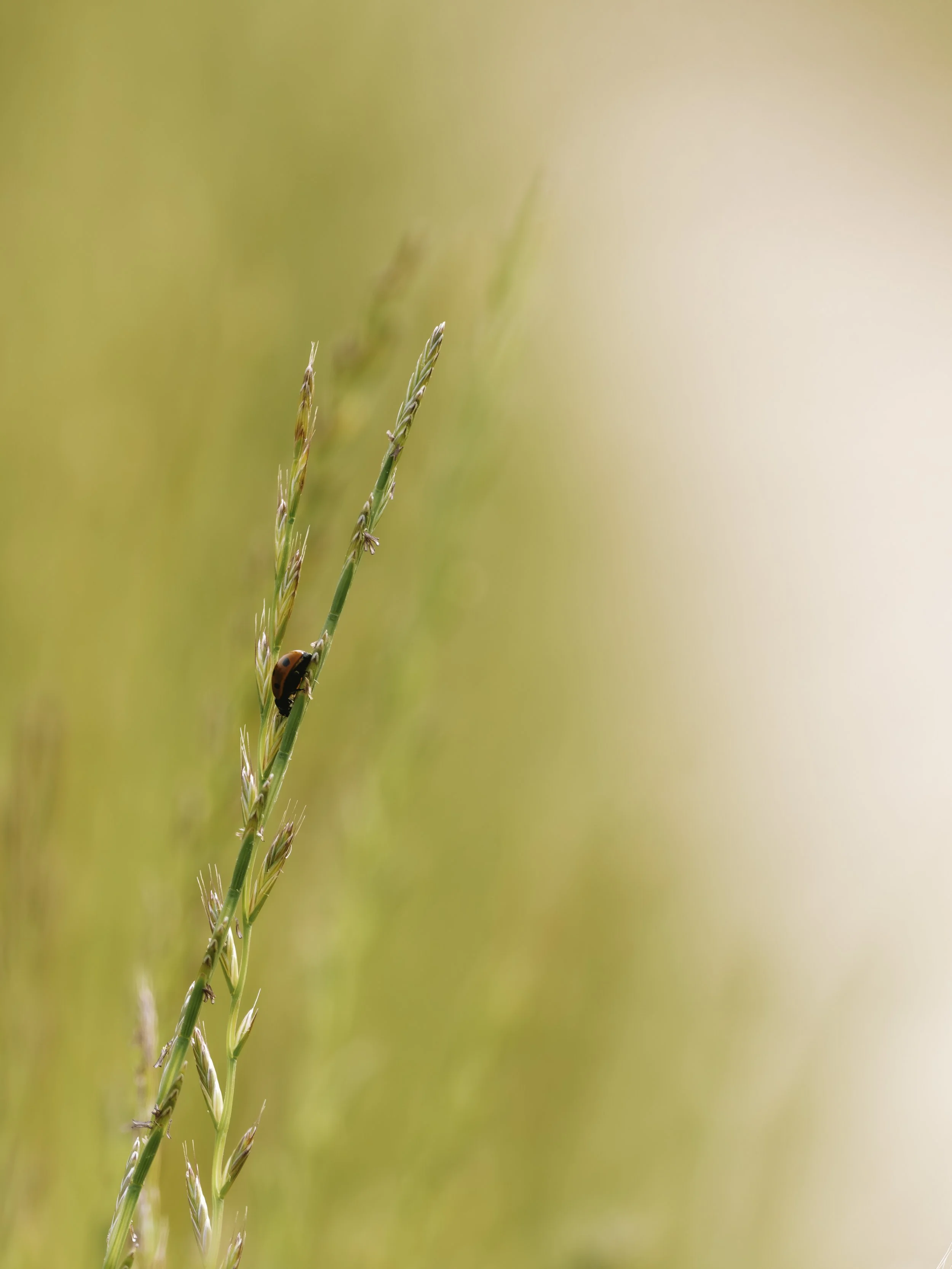 A7R04300.jpg