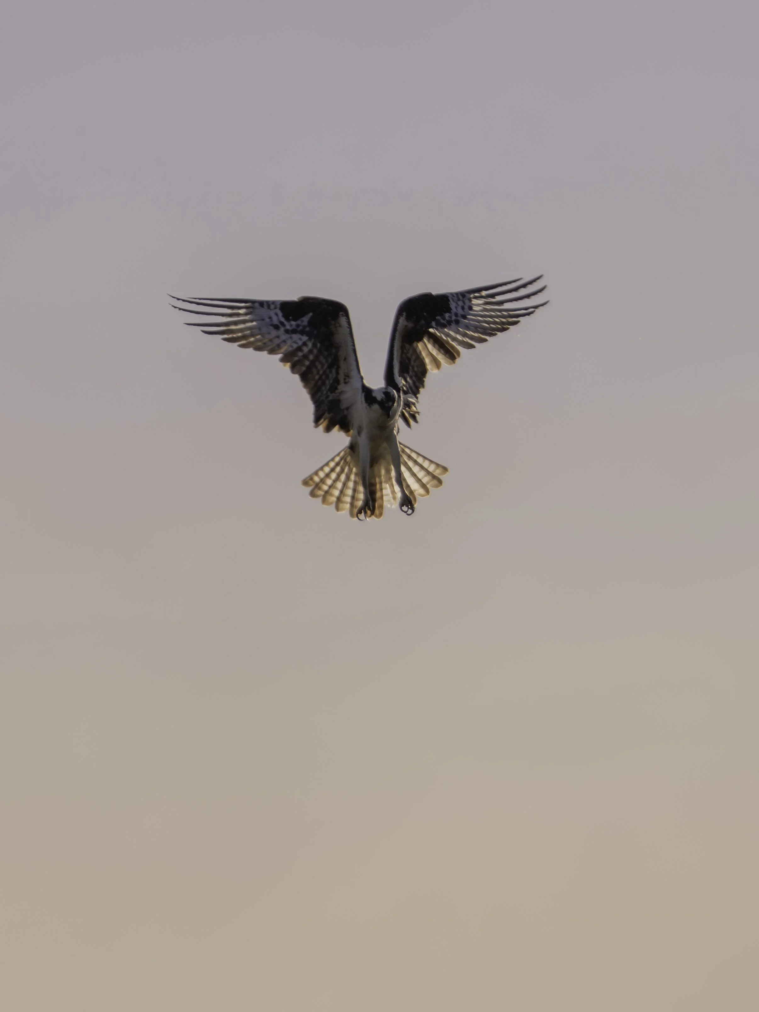 A7R08373-2.jpg