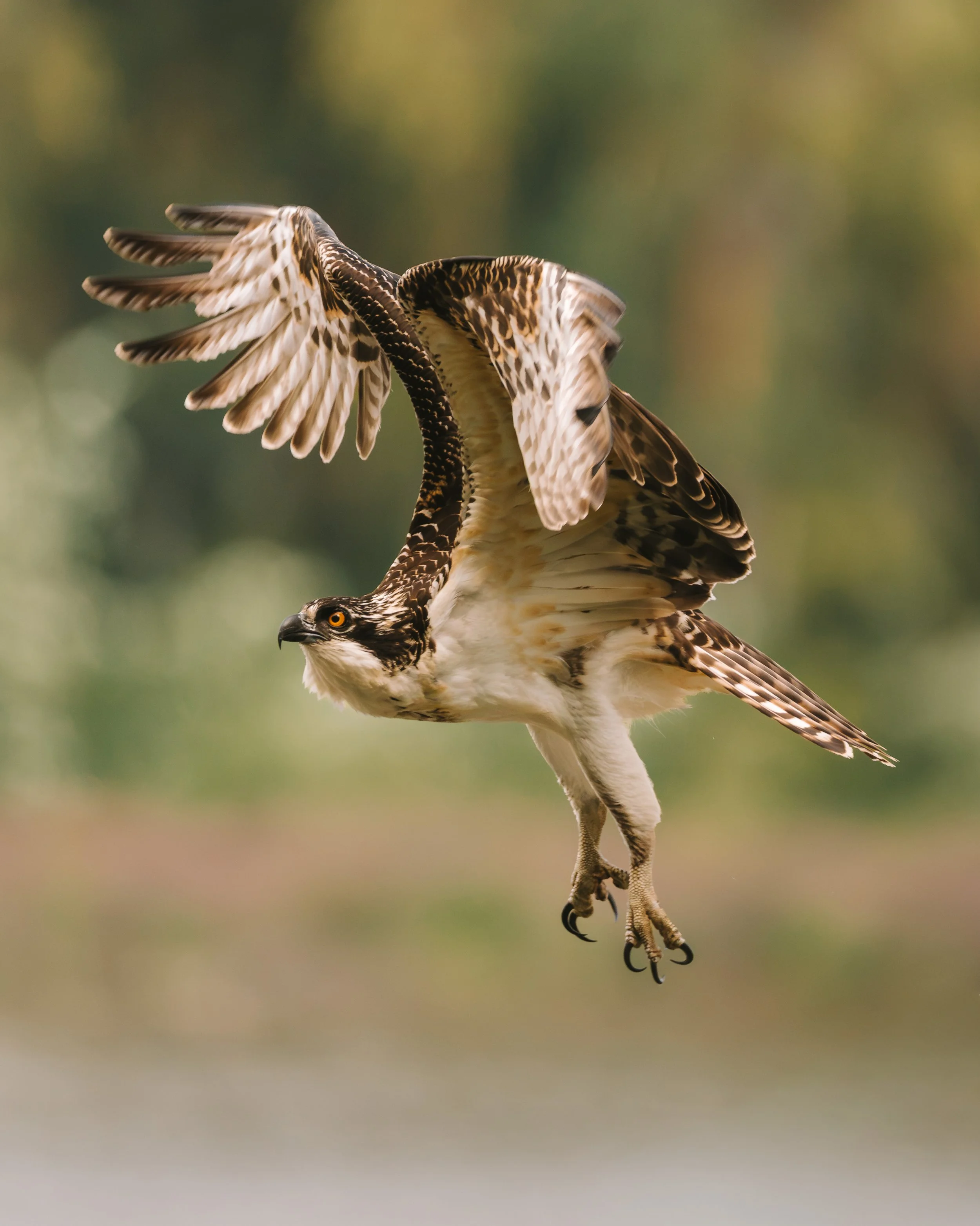 A7R02644-2.jpg