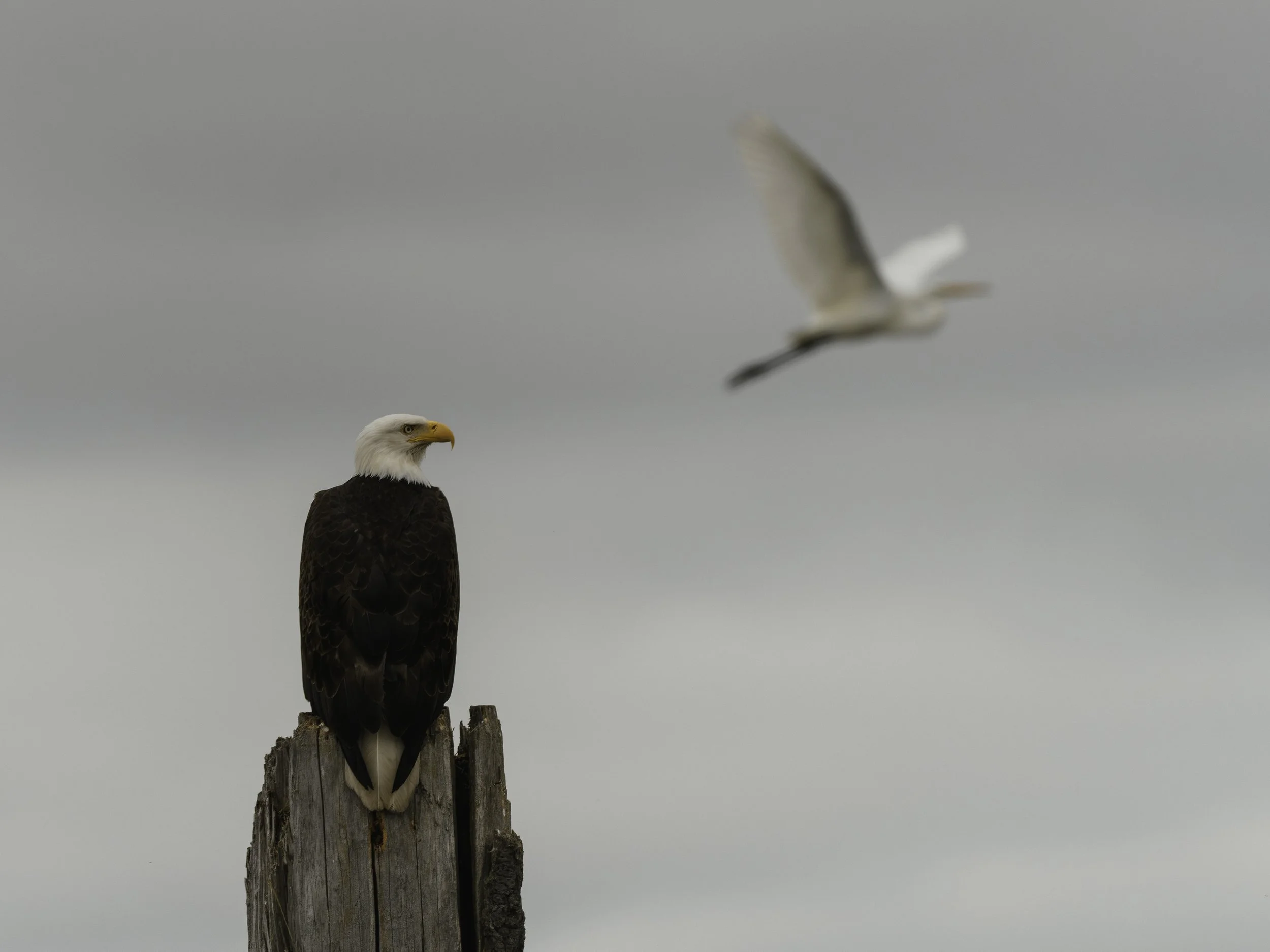 A7R00250.jpg