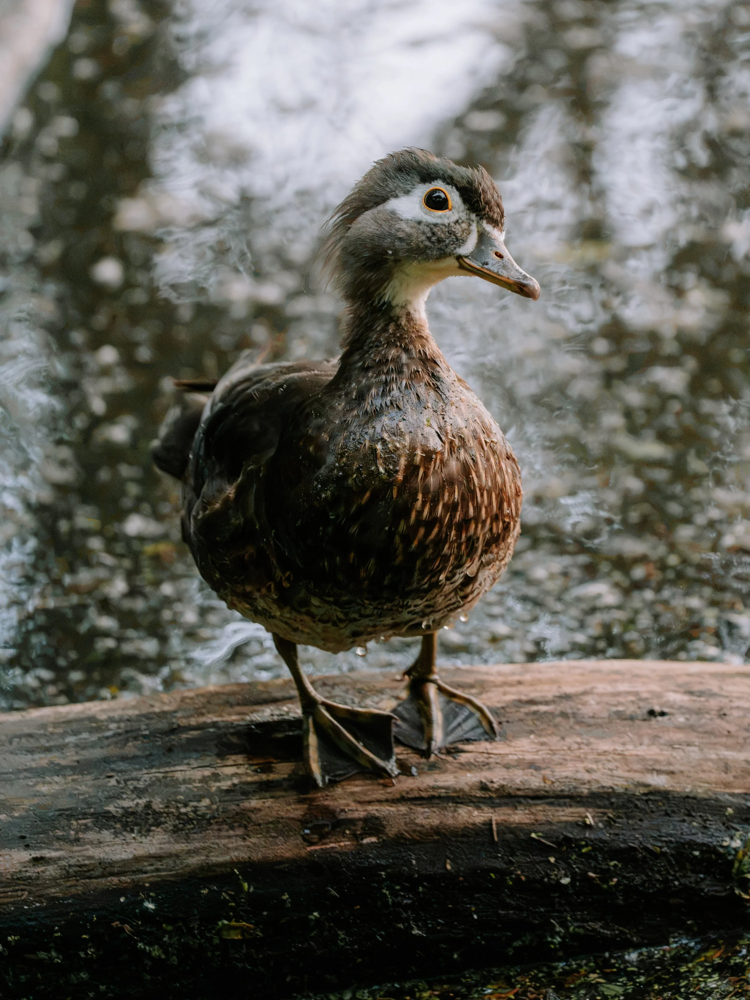 A7R08380.jpg