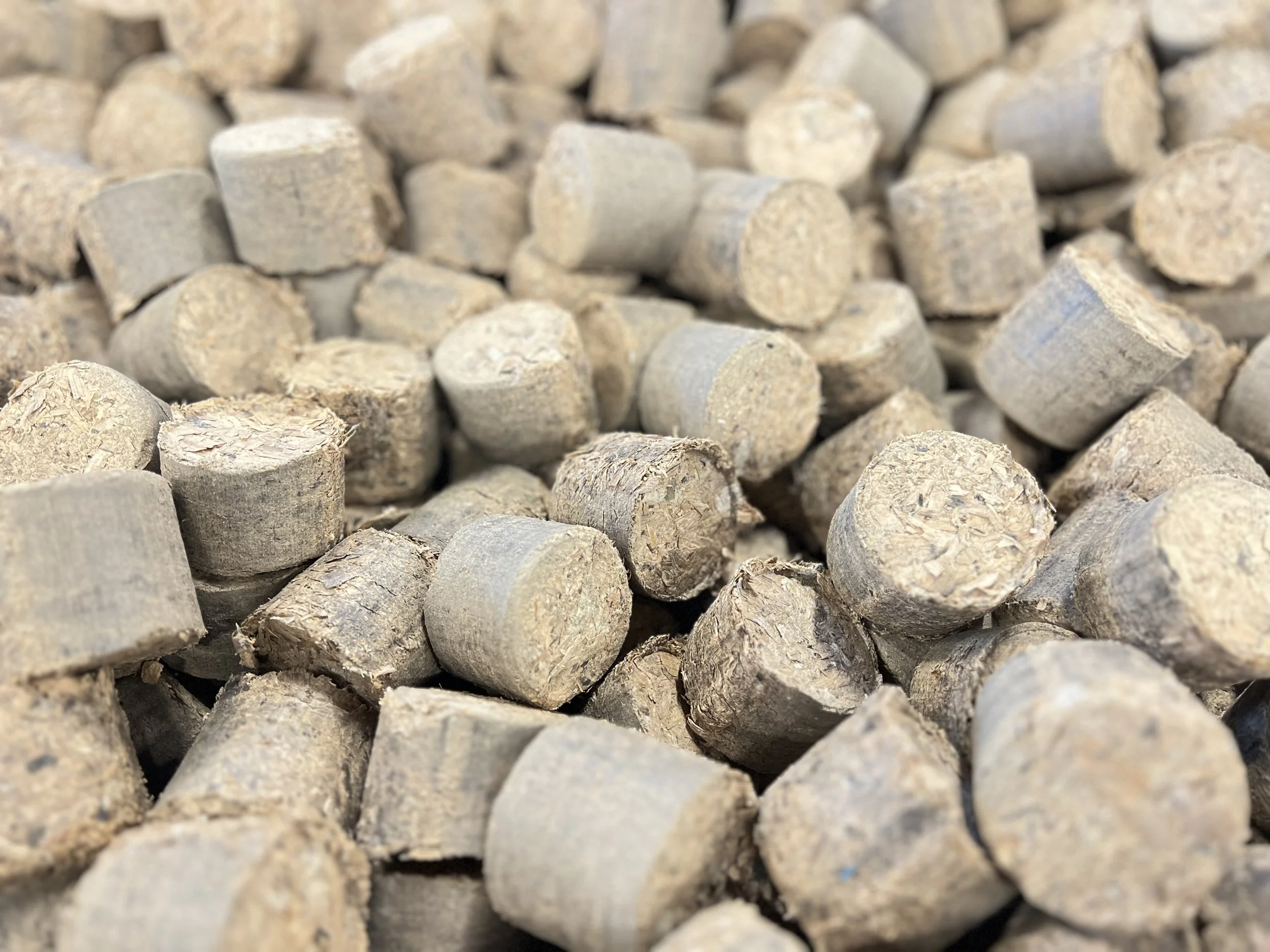 IMG_8967.jpg (Copy) (Copy)