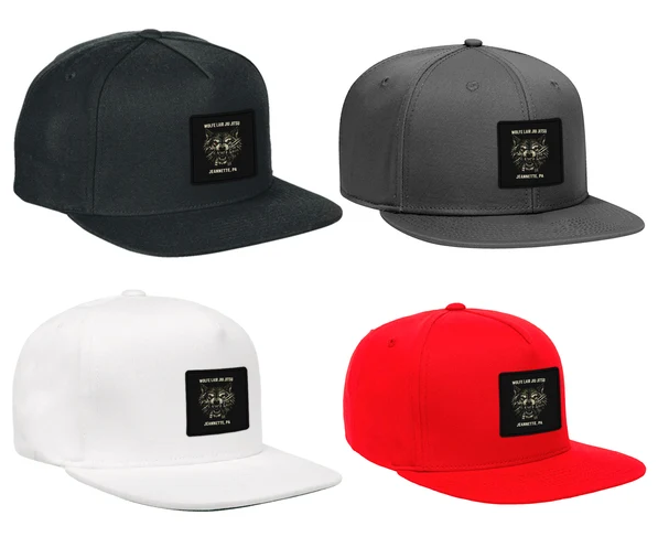 The Lair Snapback