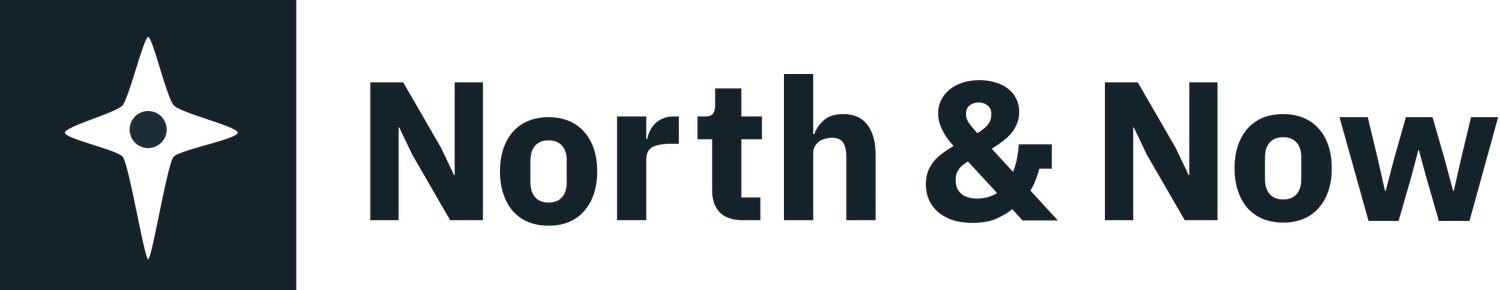 North &amp; Now | Boutique consultancy